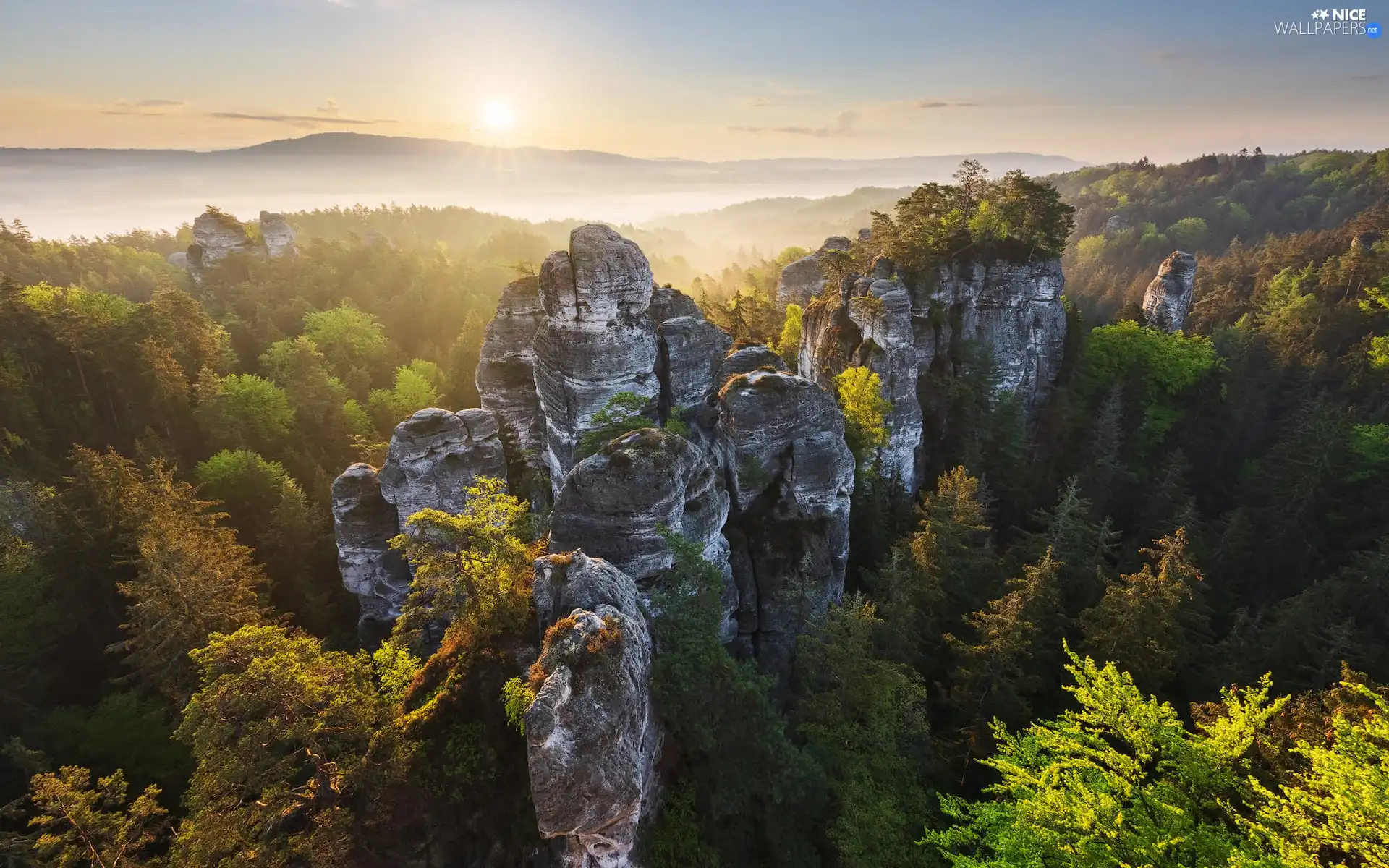 Děčínská vrchovina, Germany, Sunrise, woods, viewes, rocks, Saxon Switzerland National Park, trees