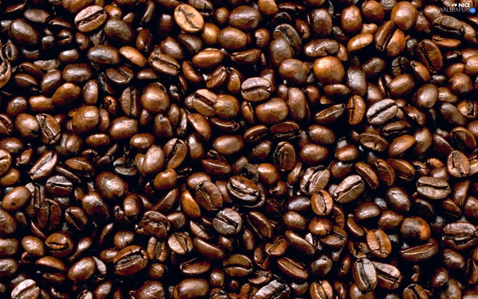 coffee, grains