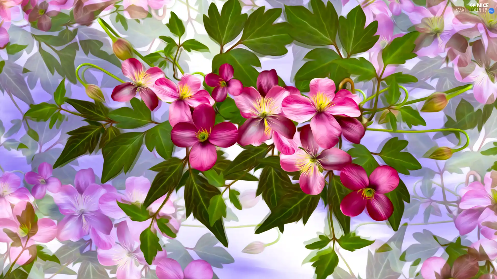 Pink, graphics, Colorful Background, Flowers