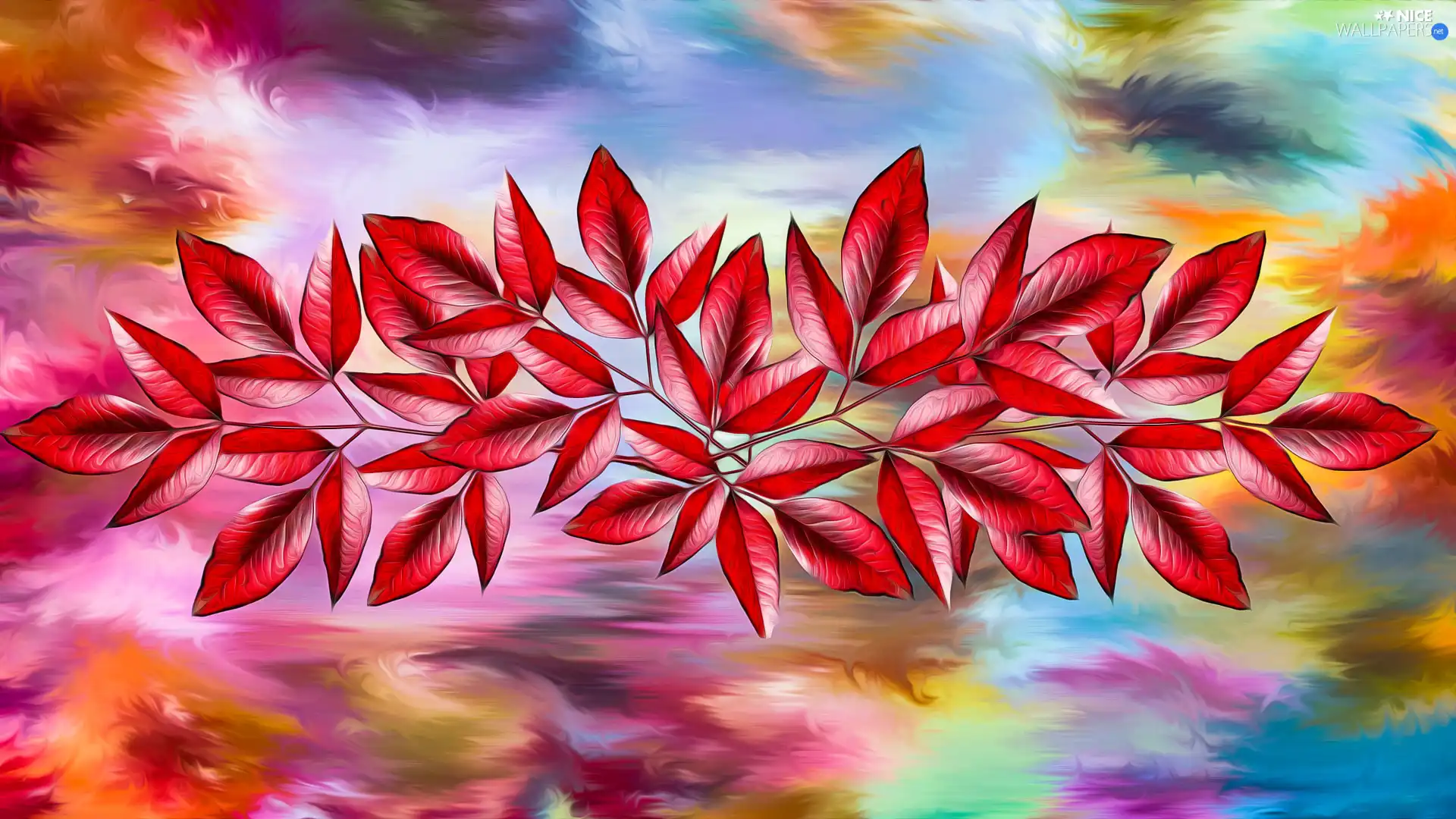 Colorful Background, Leaf, graphics