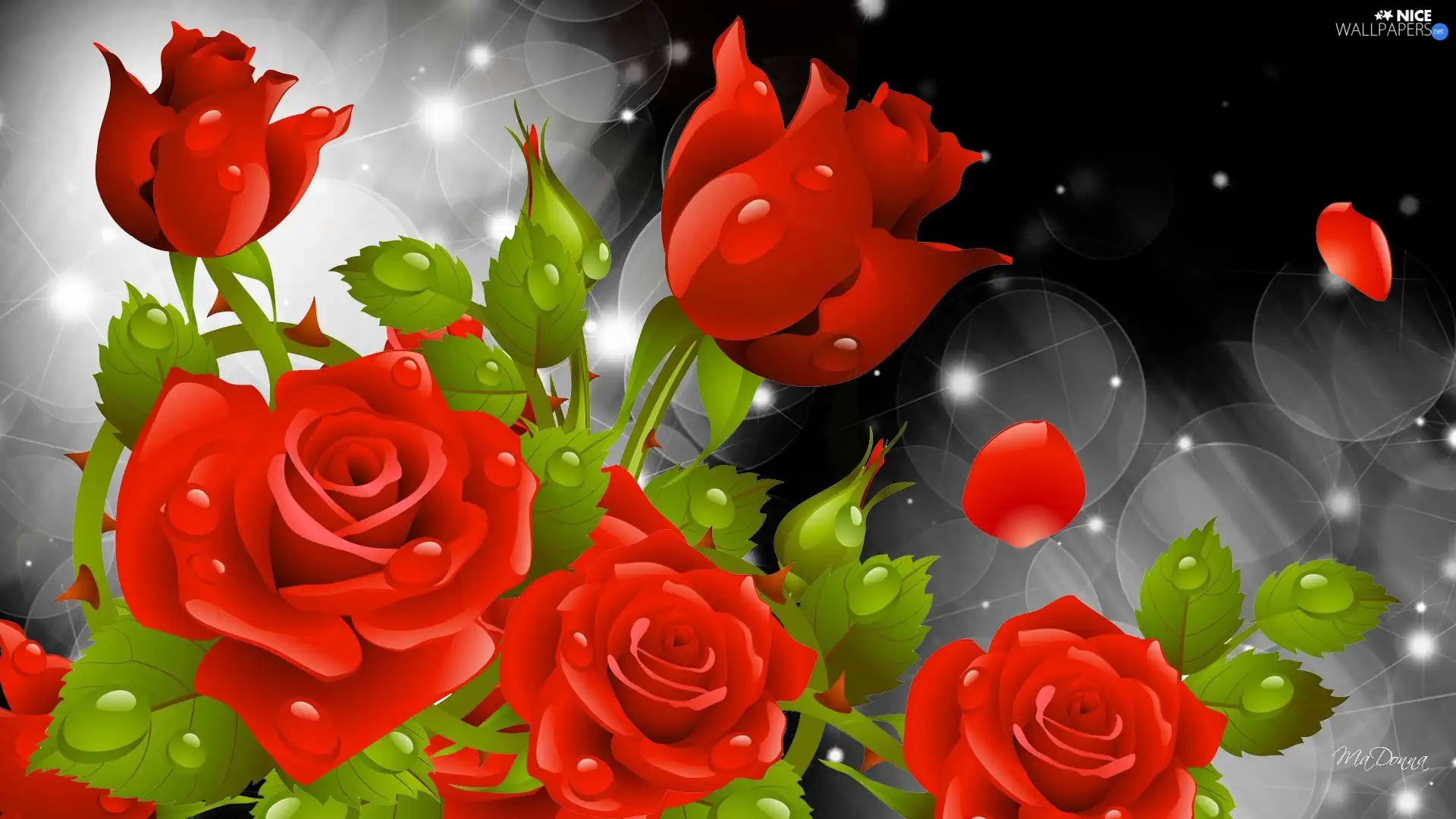 drops, Red, graphics, Computer, water, roses
