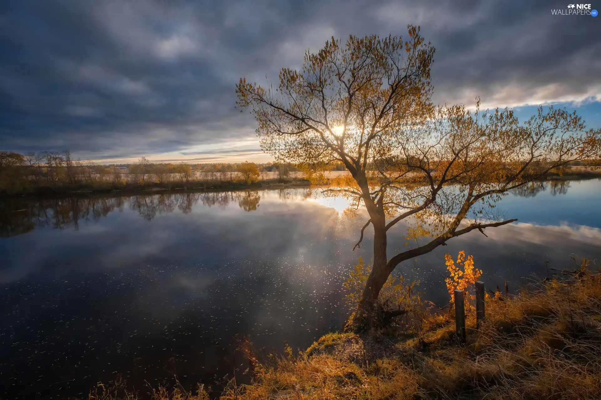 Great Sunsets, reflection, Latvia, trees, Latgale, Dubna River, autumn, clouds