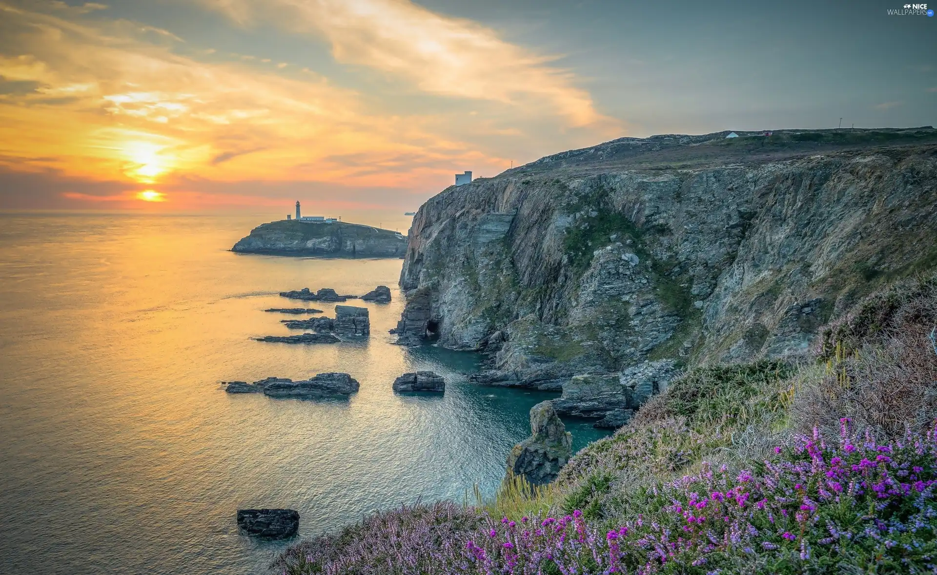 Great Sunsets, sea, Stones, rocks, Flowers, Lighthouses