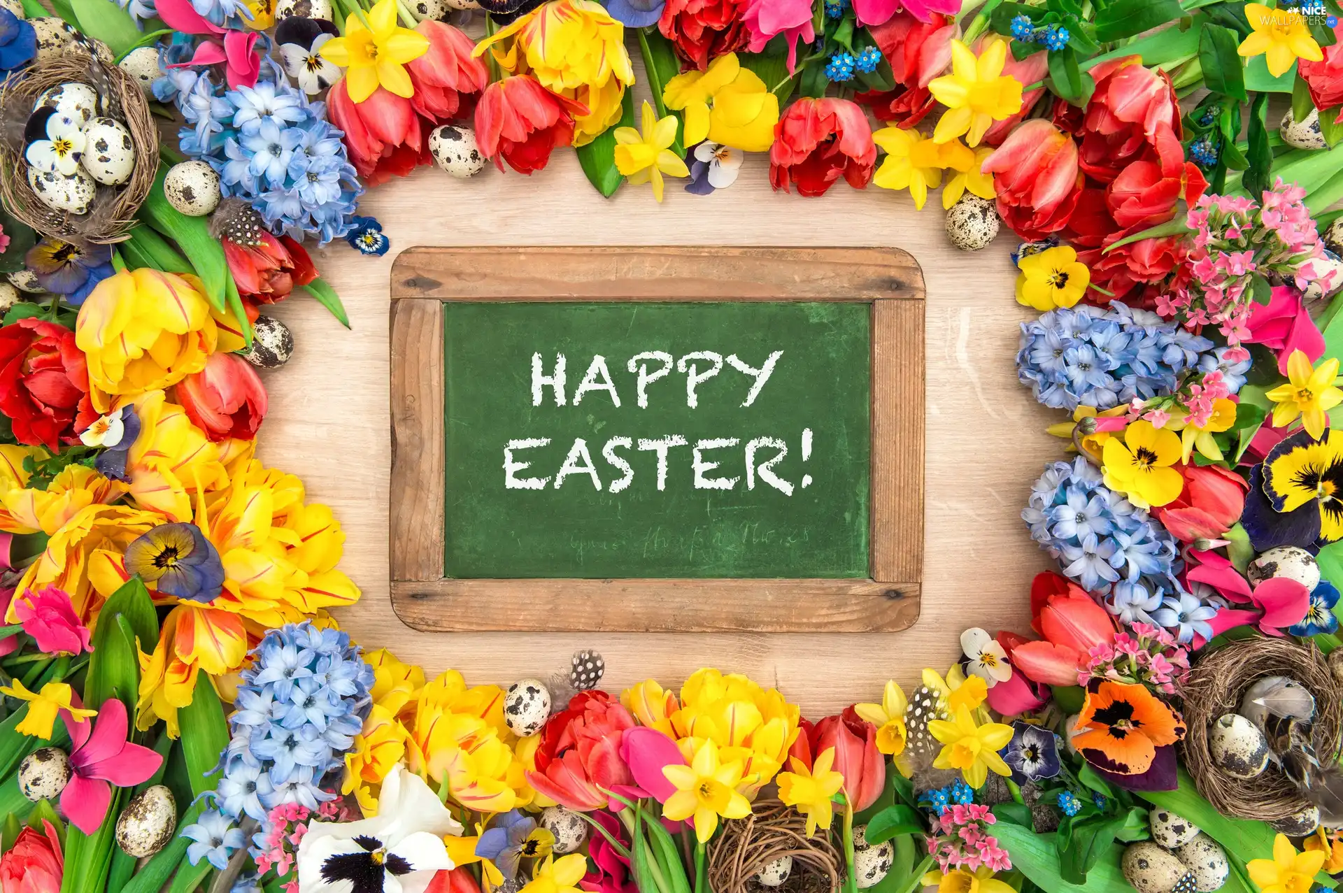 Sockets, Flowers, Tulips, text, Daffodils, pansies, plate, boarding, Happy Easter, Easter, eggs, Hyacinths, Spring
