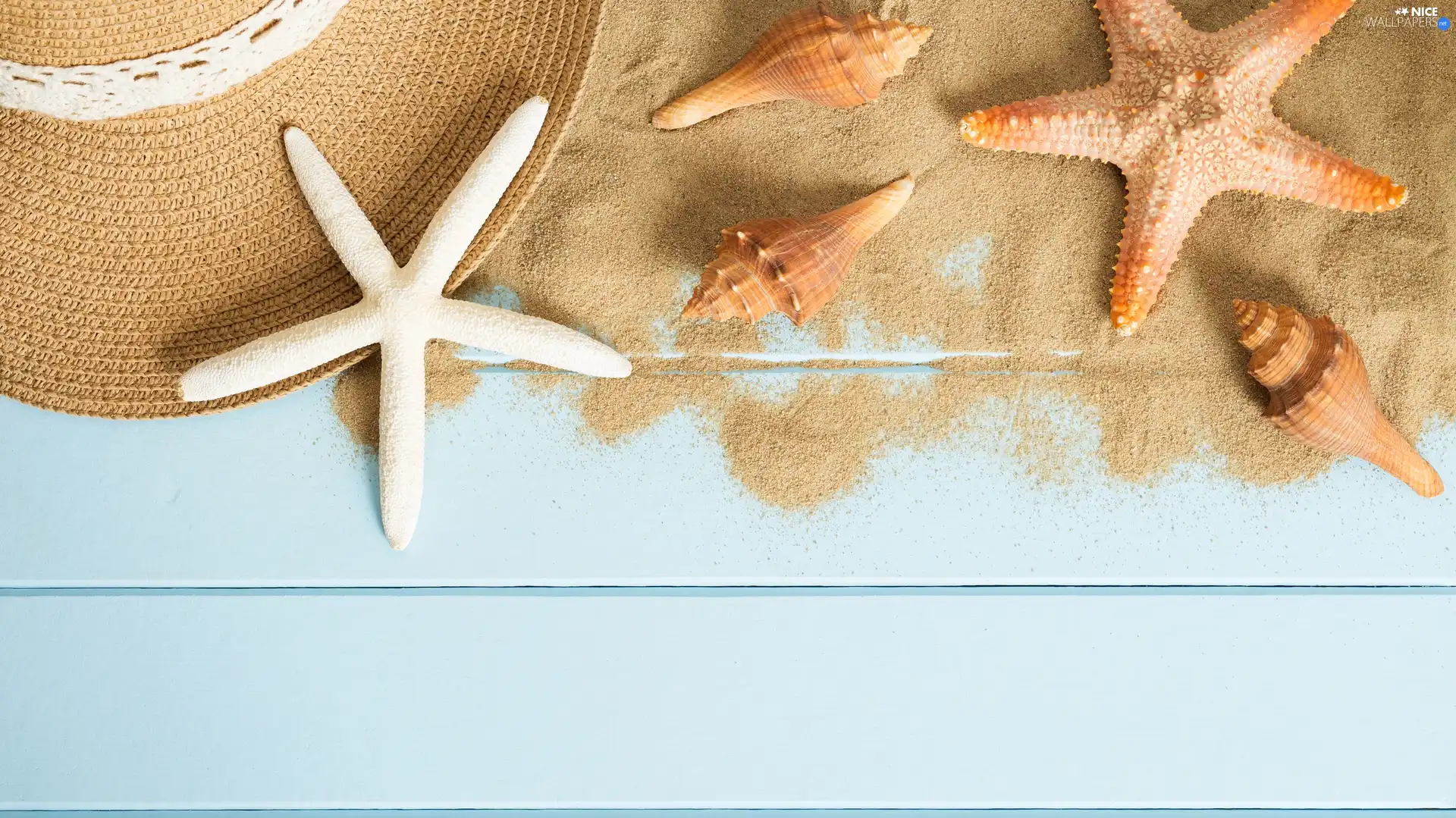 Sand, Shells, starfish, Hat