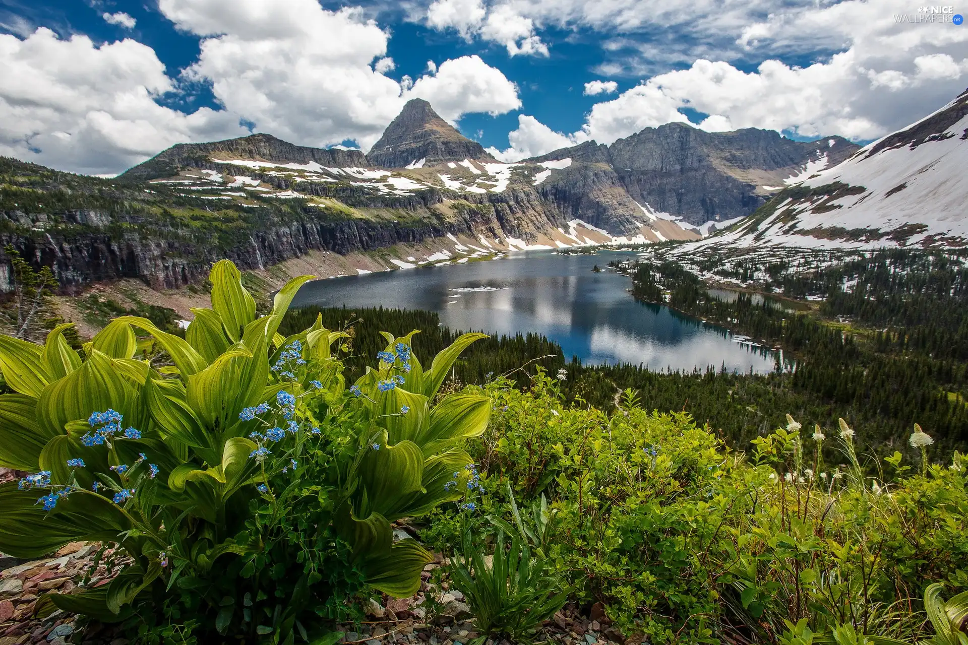 trees, viewes, The United States, clouds, Montana State, Hidden Lake, Mountains, Glacier National Park