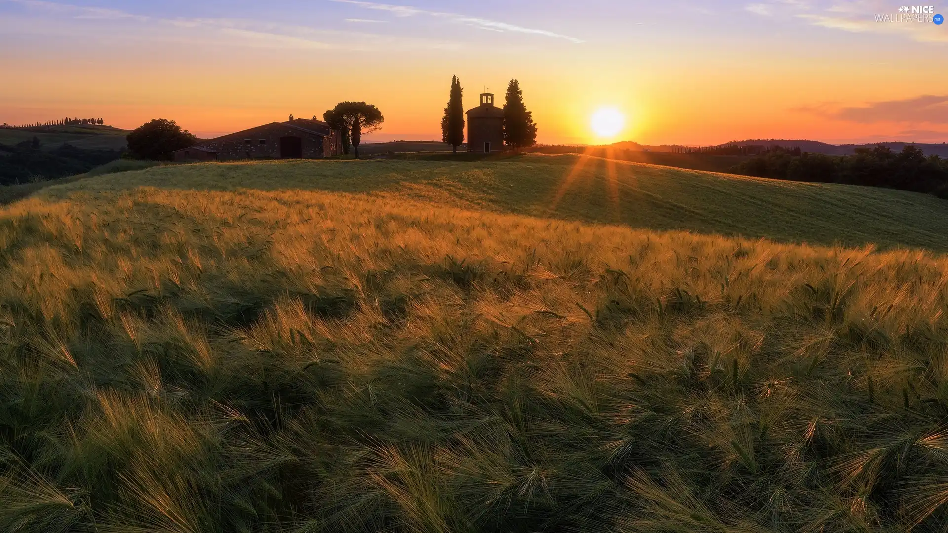 house, tower, Italy, belfry, Tuscany, corn, Field, Great Sunsets