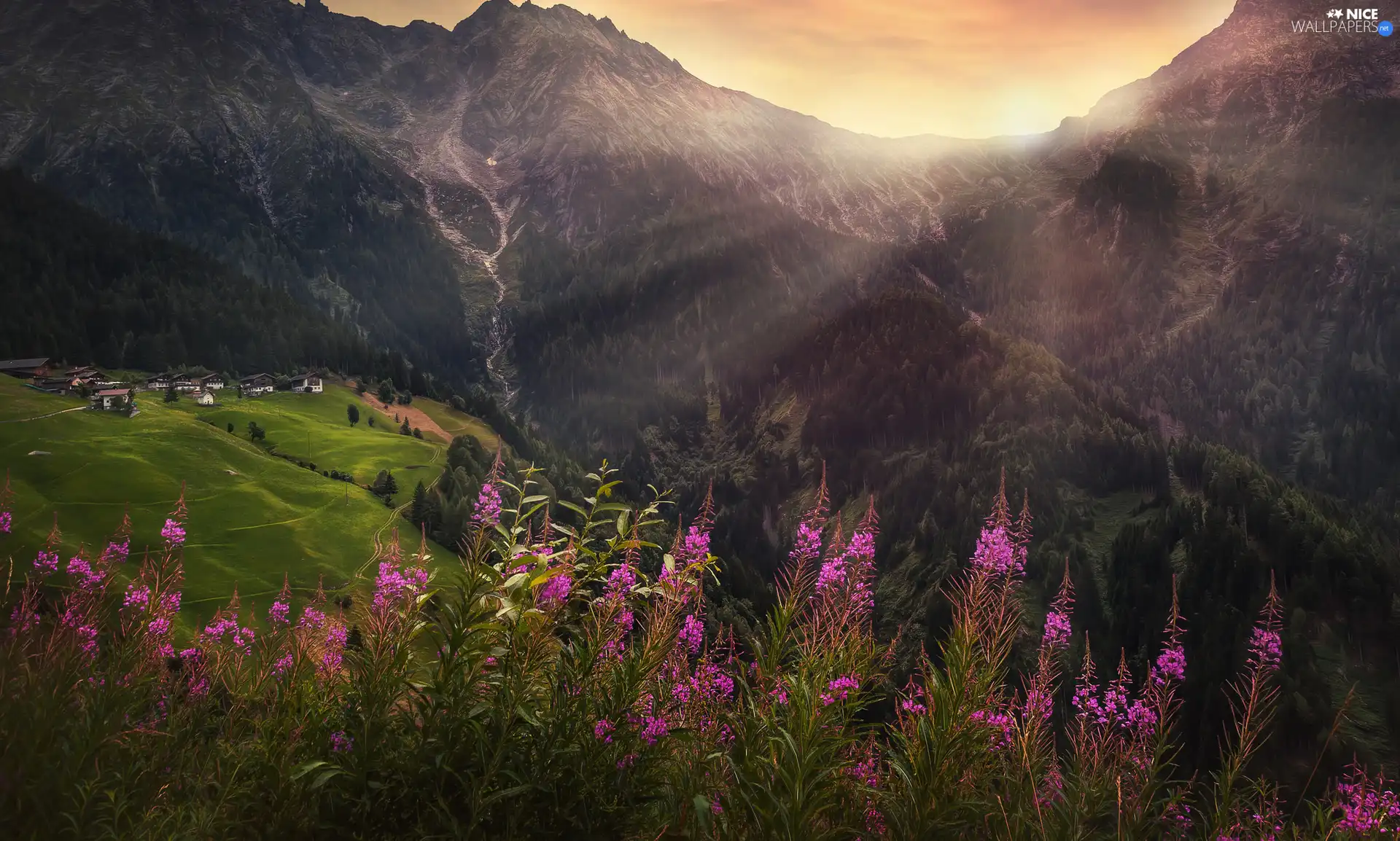 Mountains, Flowers, Houses, Alps