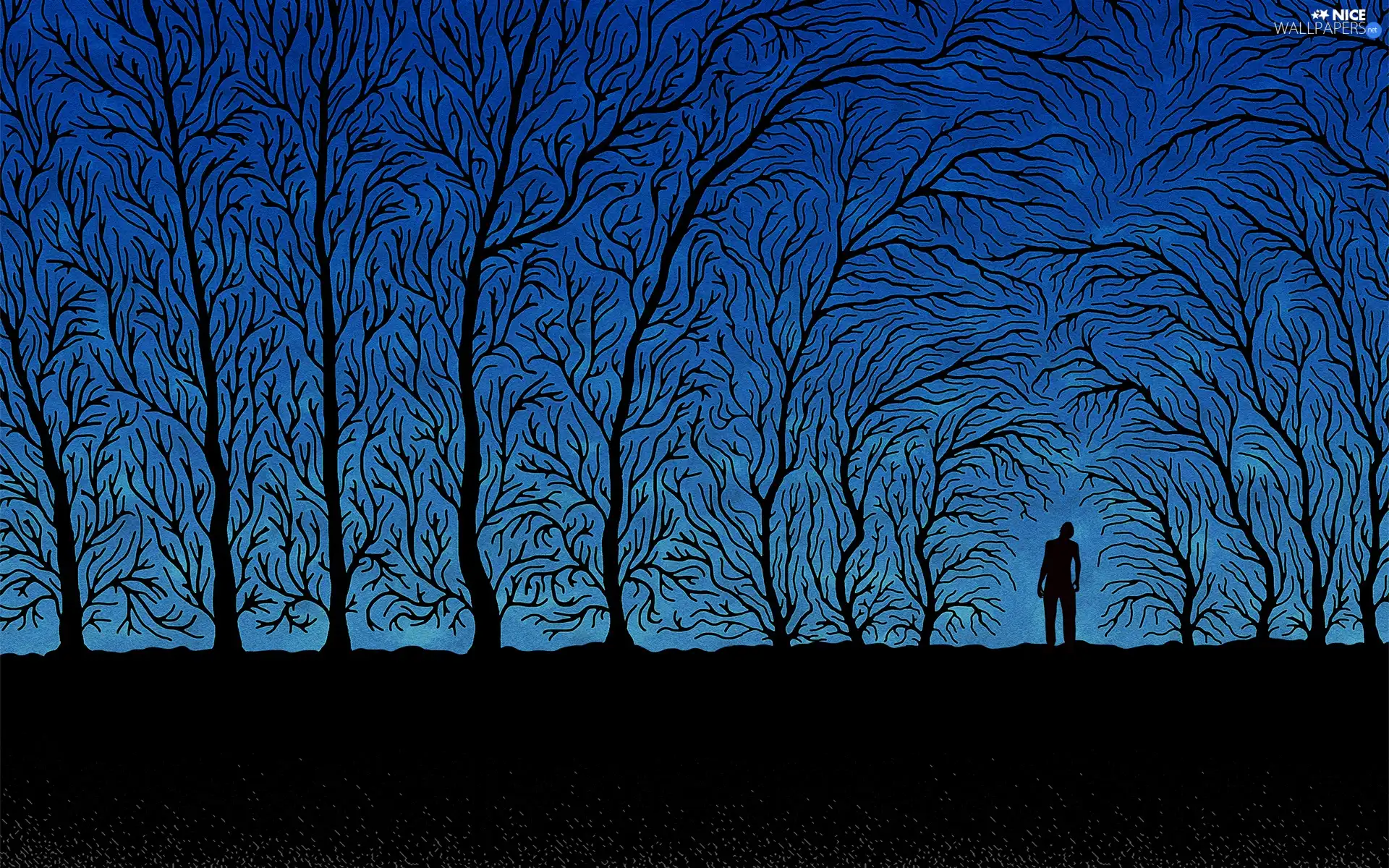 Human, graphics, trees, viewes, Night