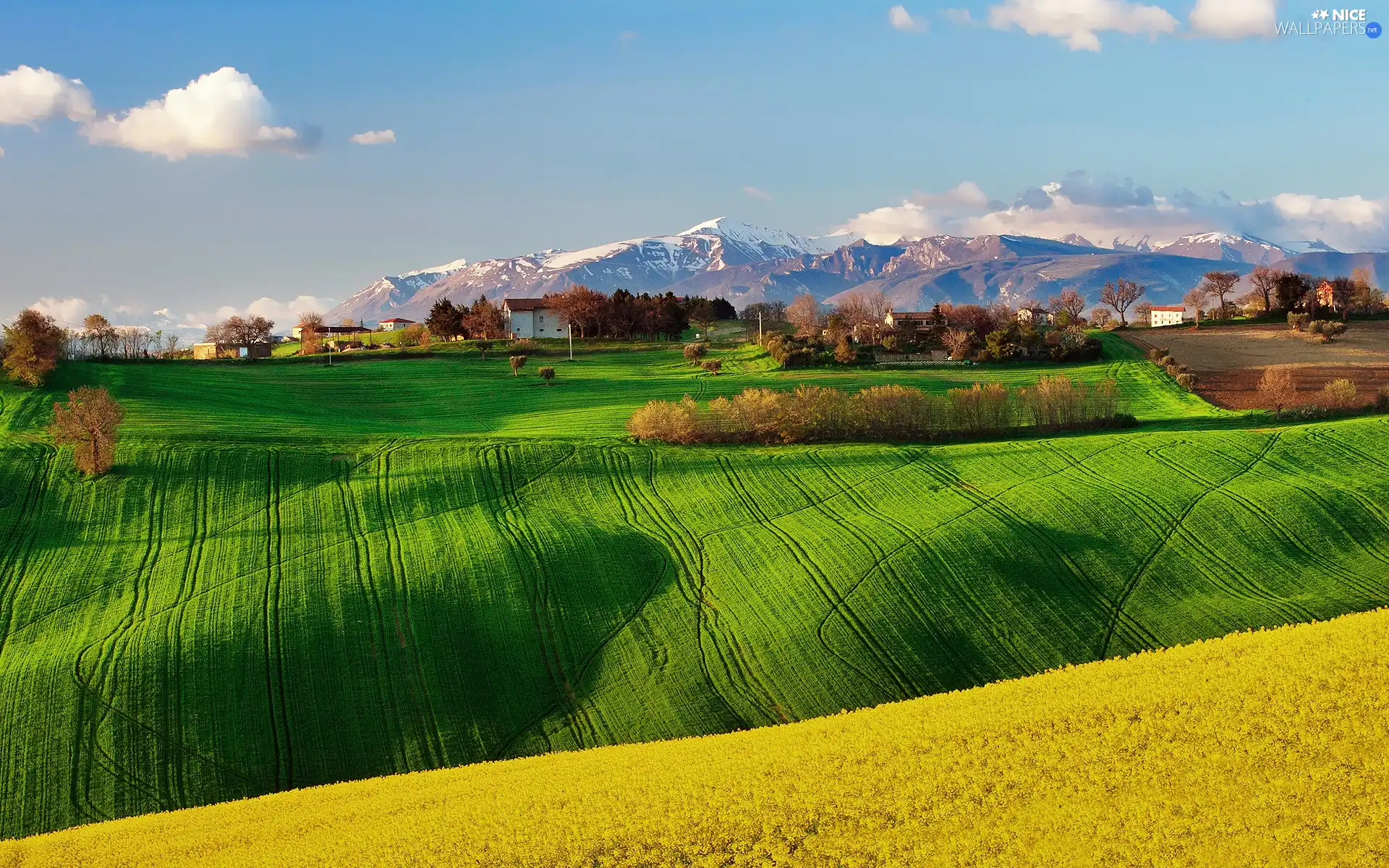 Spring, Mountains, Italy, field