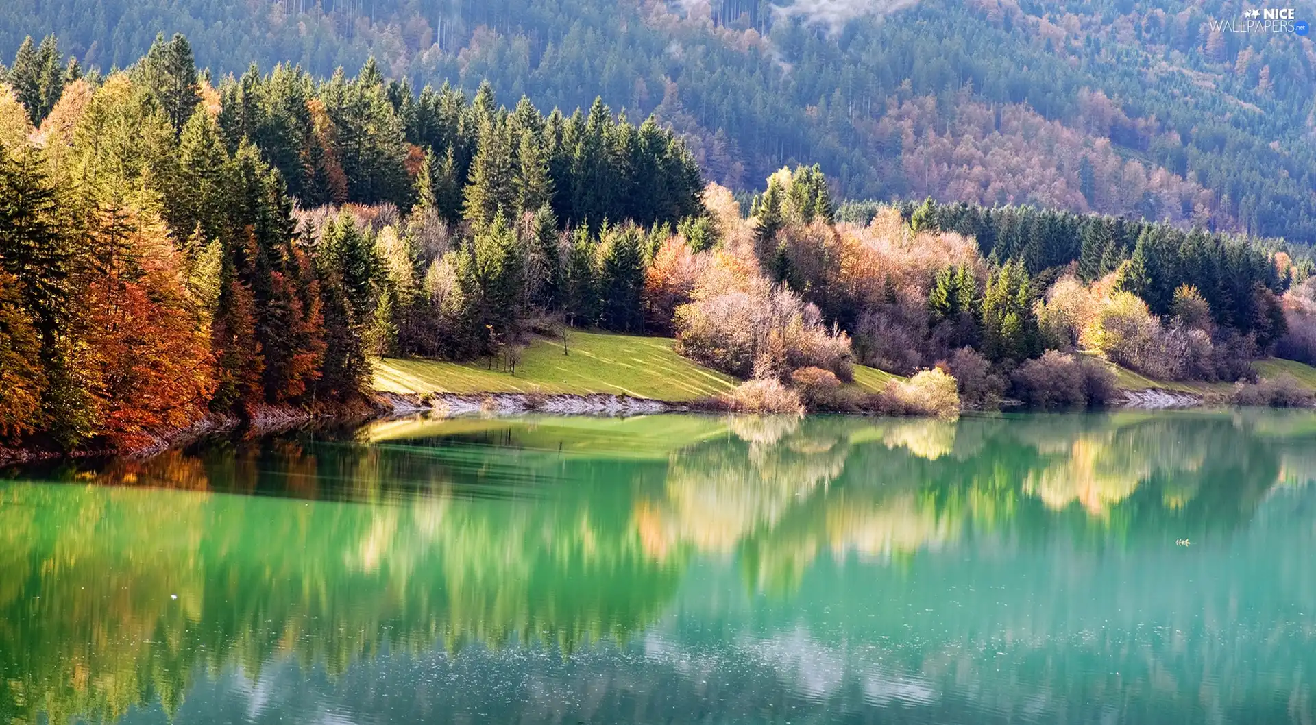 lake, autumn, by