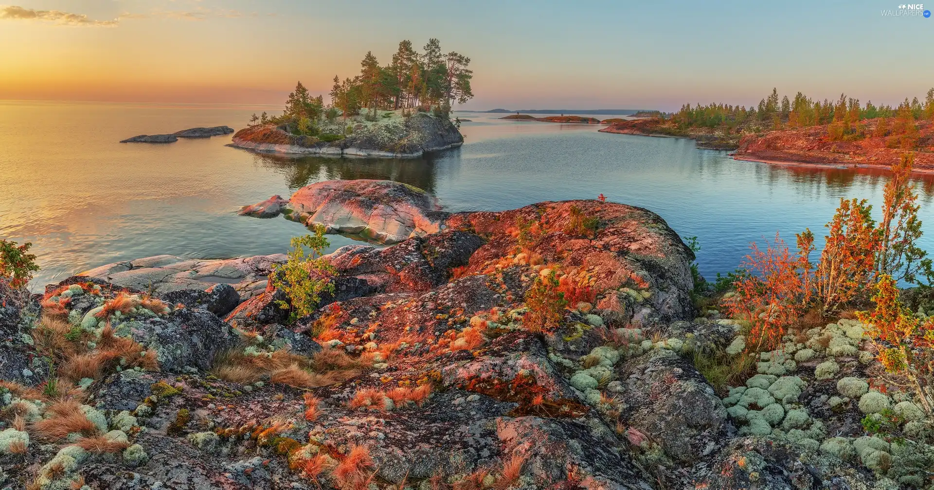 Lake Ladoga, Sunrise, autumn, Islets, Plants, Russia, viewes, rocks, trees