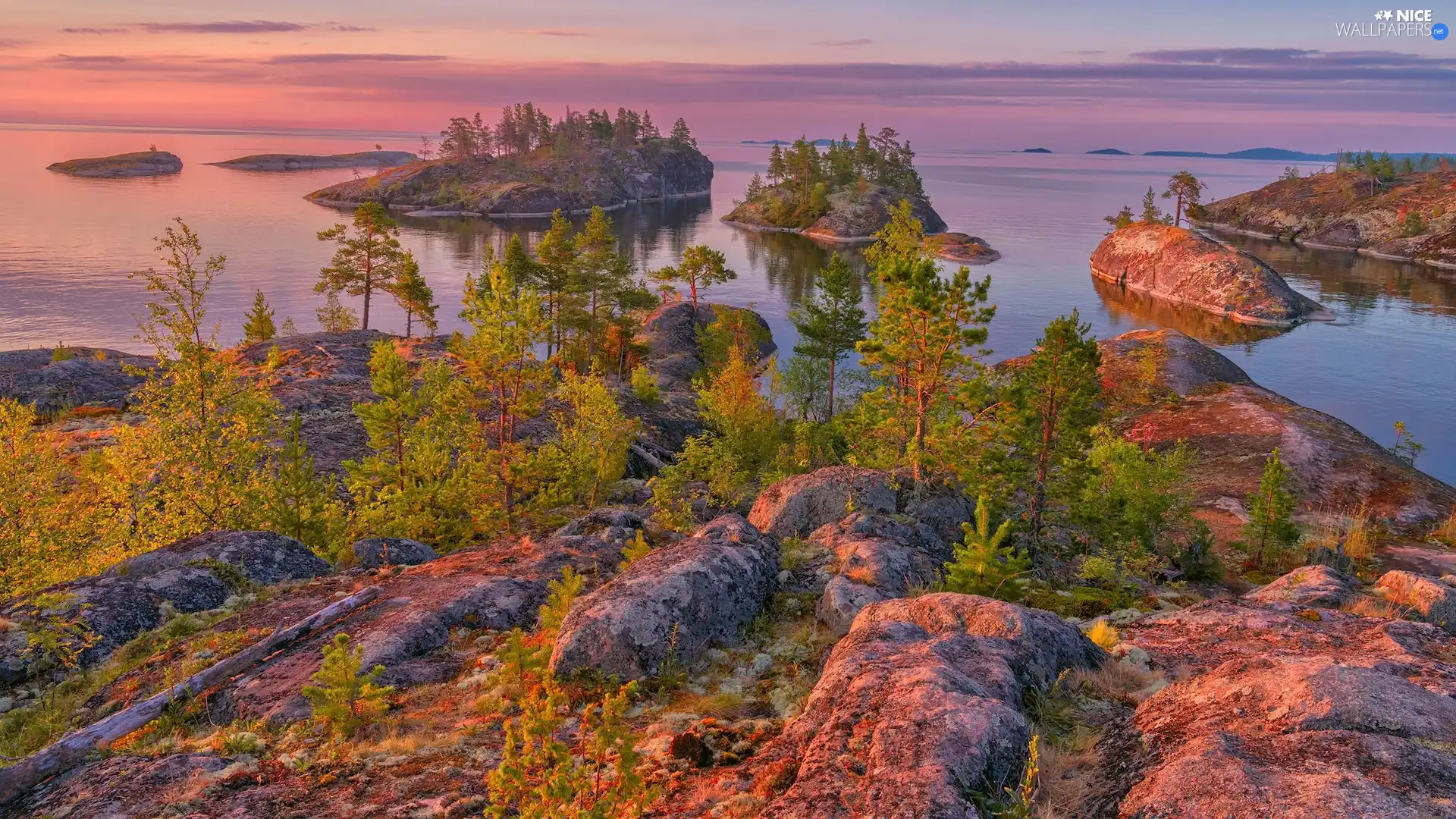 Lake Ladoga, Russia, Islets, rocks, Karelia, Russia, viewes, VEGETATION, trees