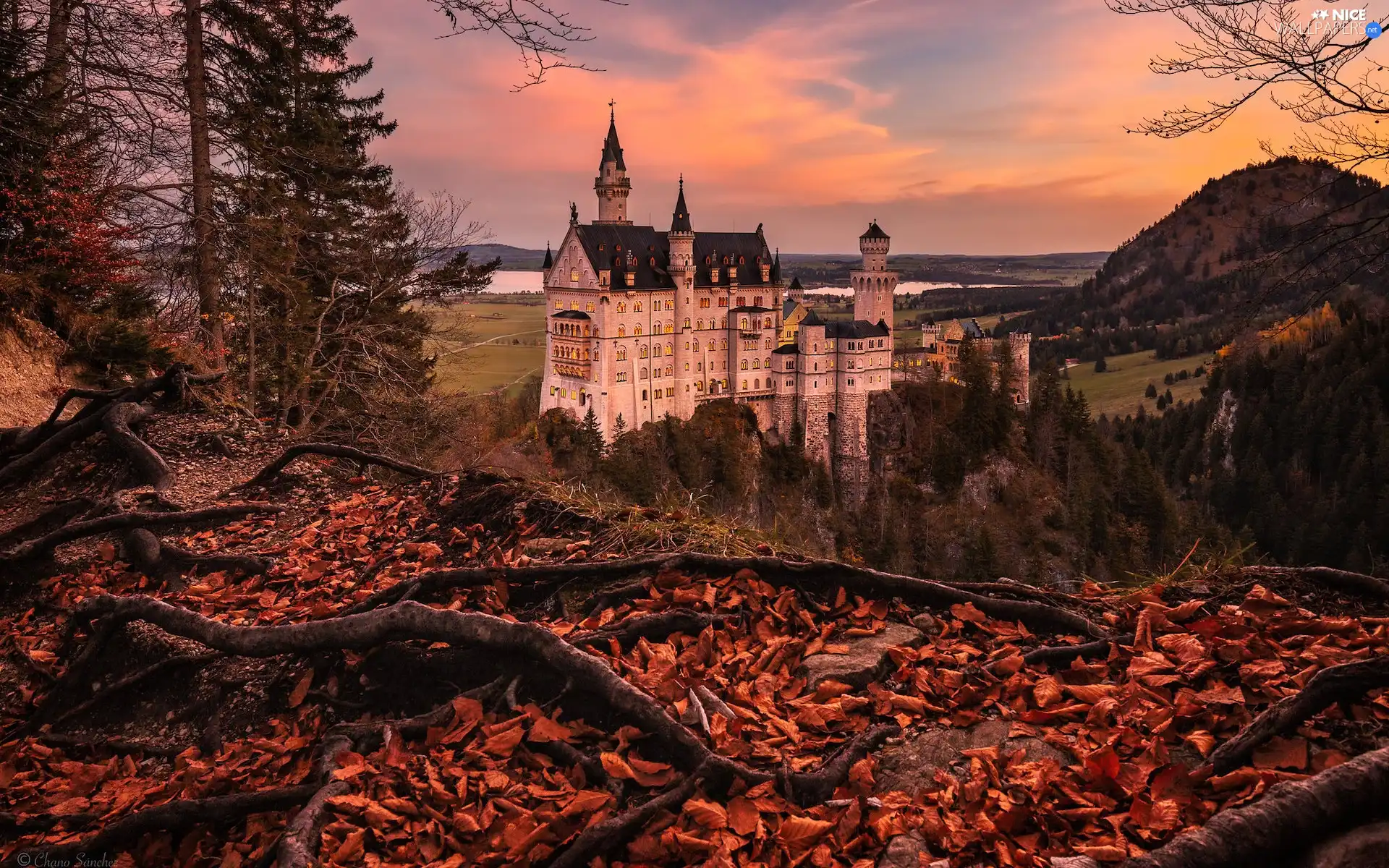 Bavaria, Germany, Neuschwanstein Castle, trees, roots, Leaf, autumn, The Hills, viewes