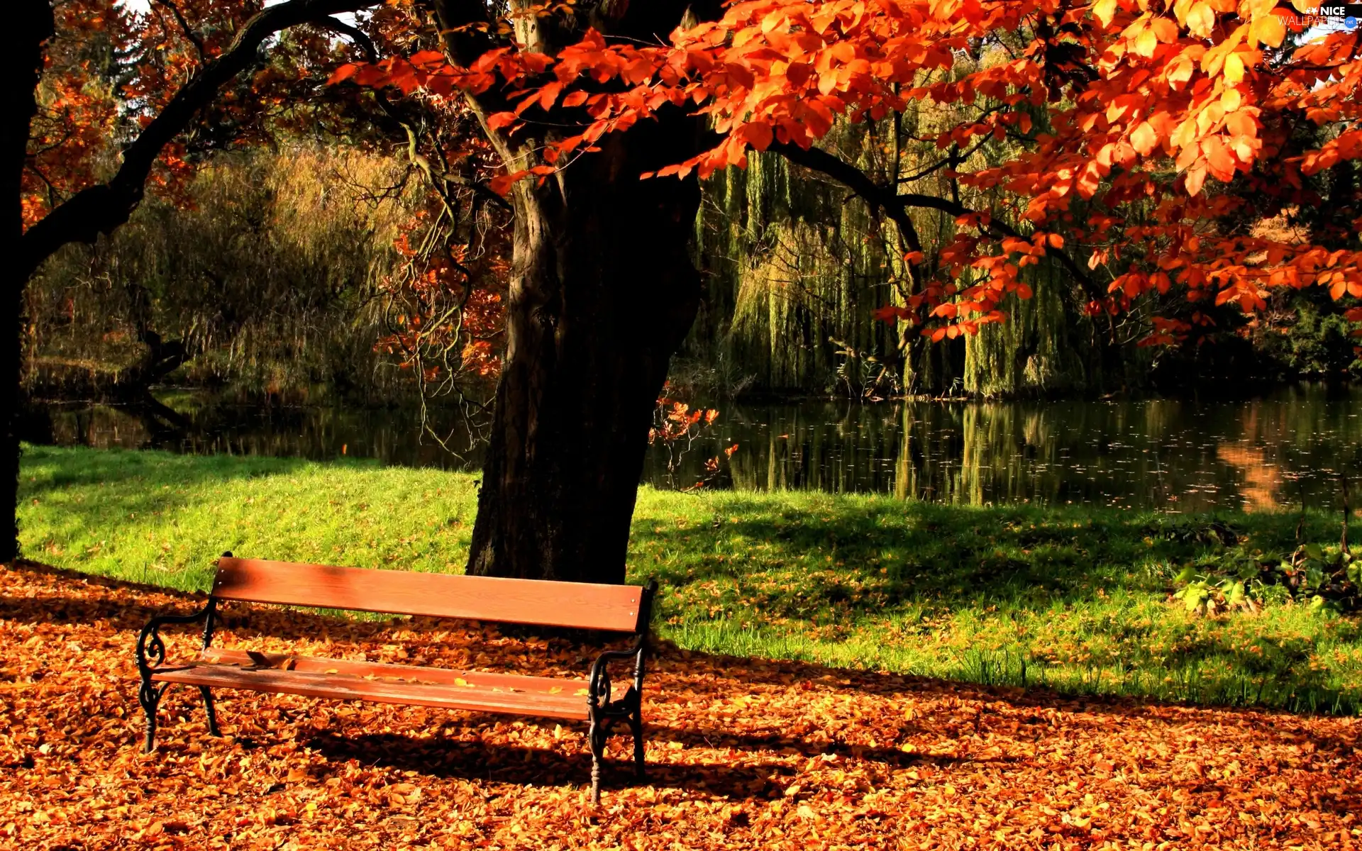 Leaf, autumn, River, Bench, Park