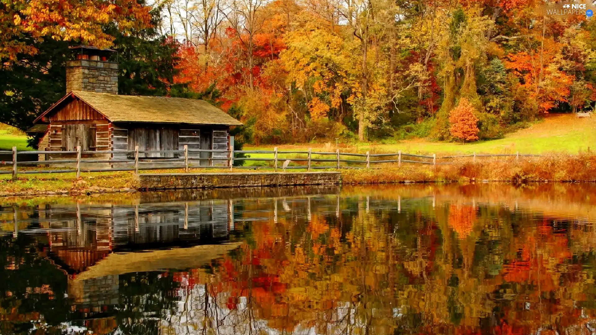 Leaf, forest, House, reflection, Pond - car, color