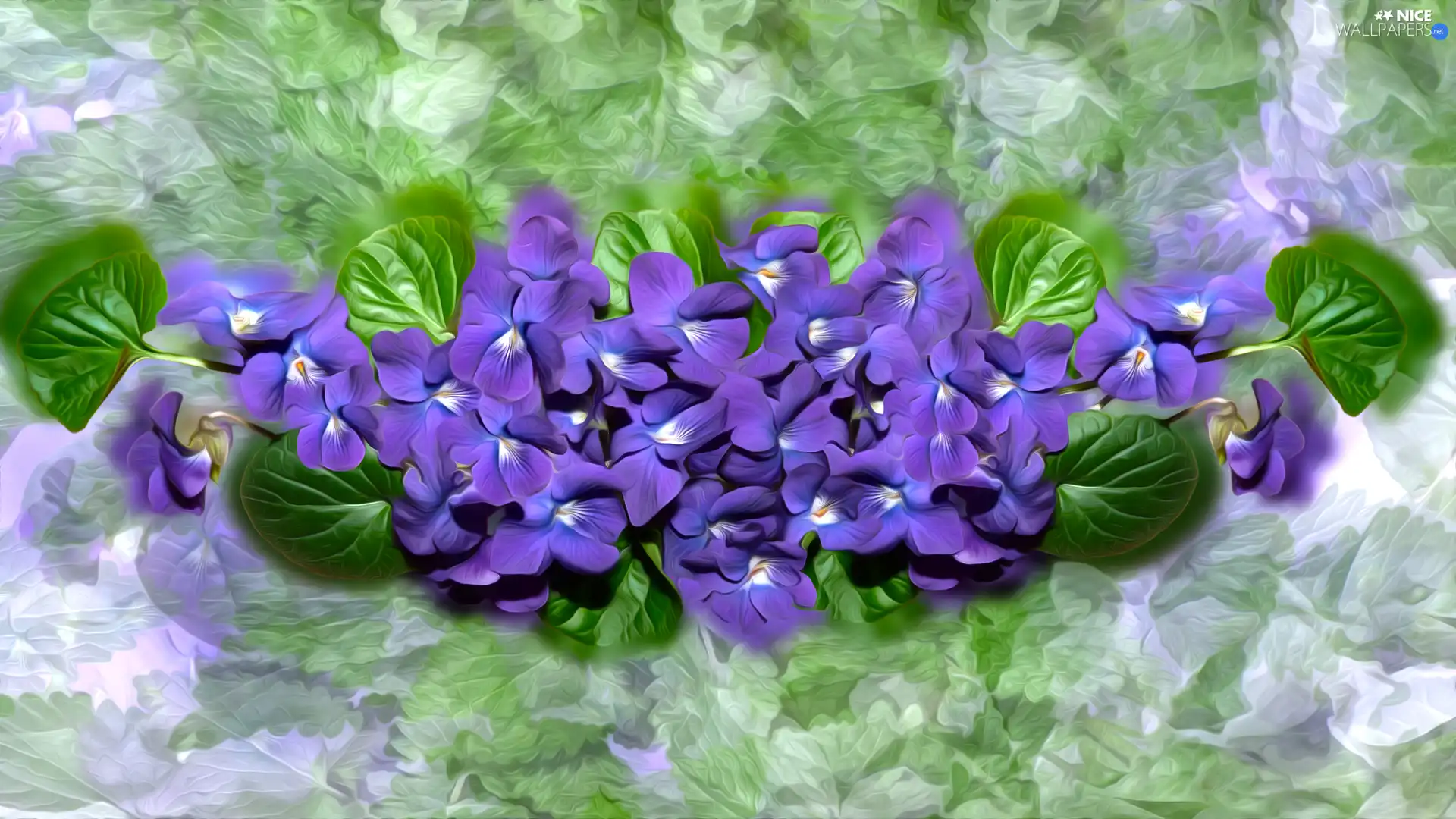 graphics, fragrant violets, leaves
