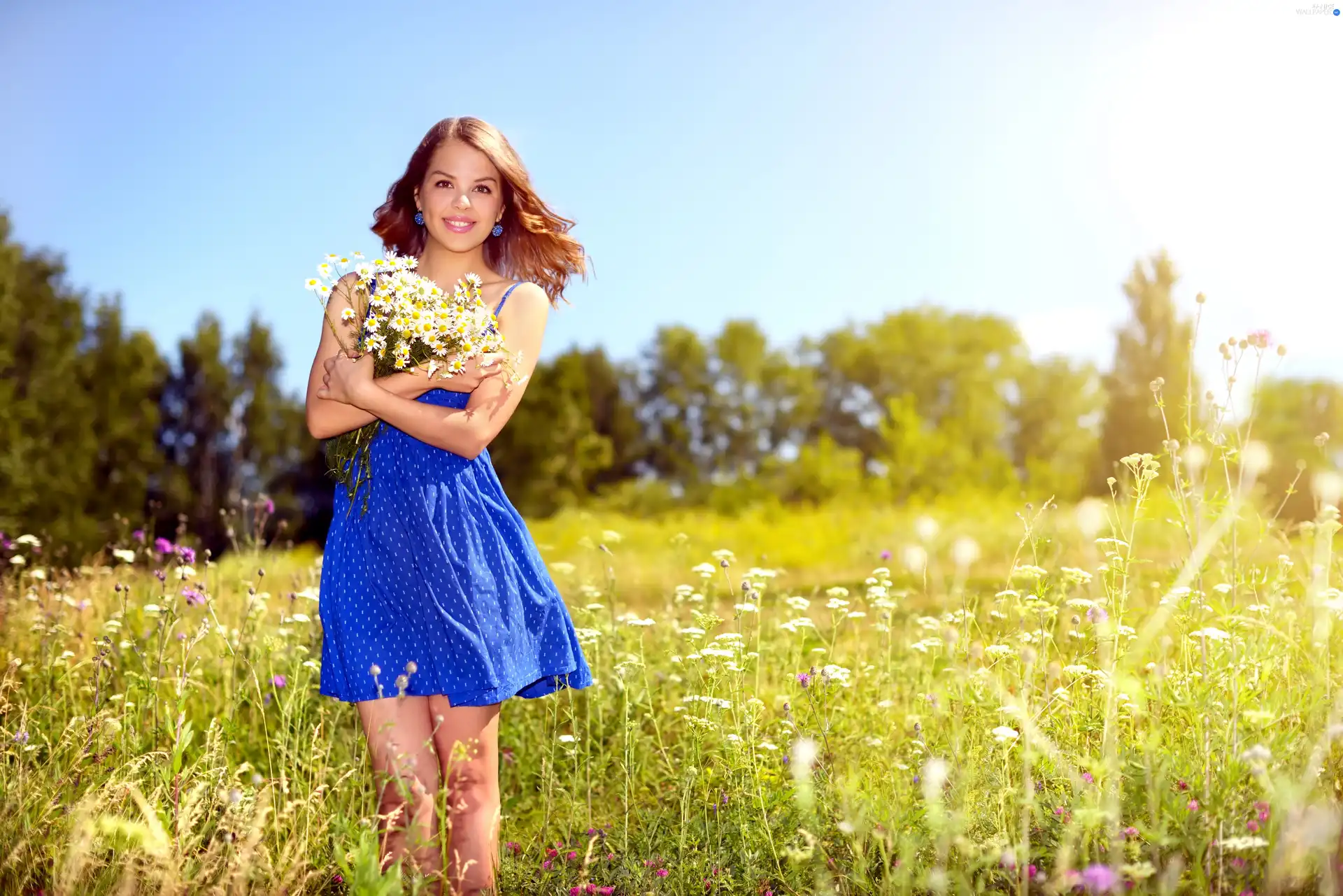 Camomile, girl, trees, small bunch, smiling, Meadow, viewes