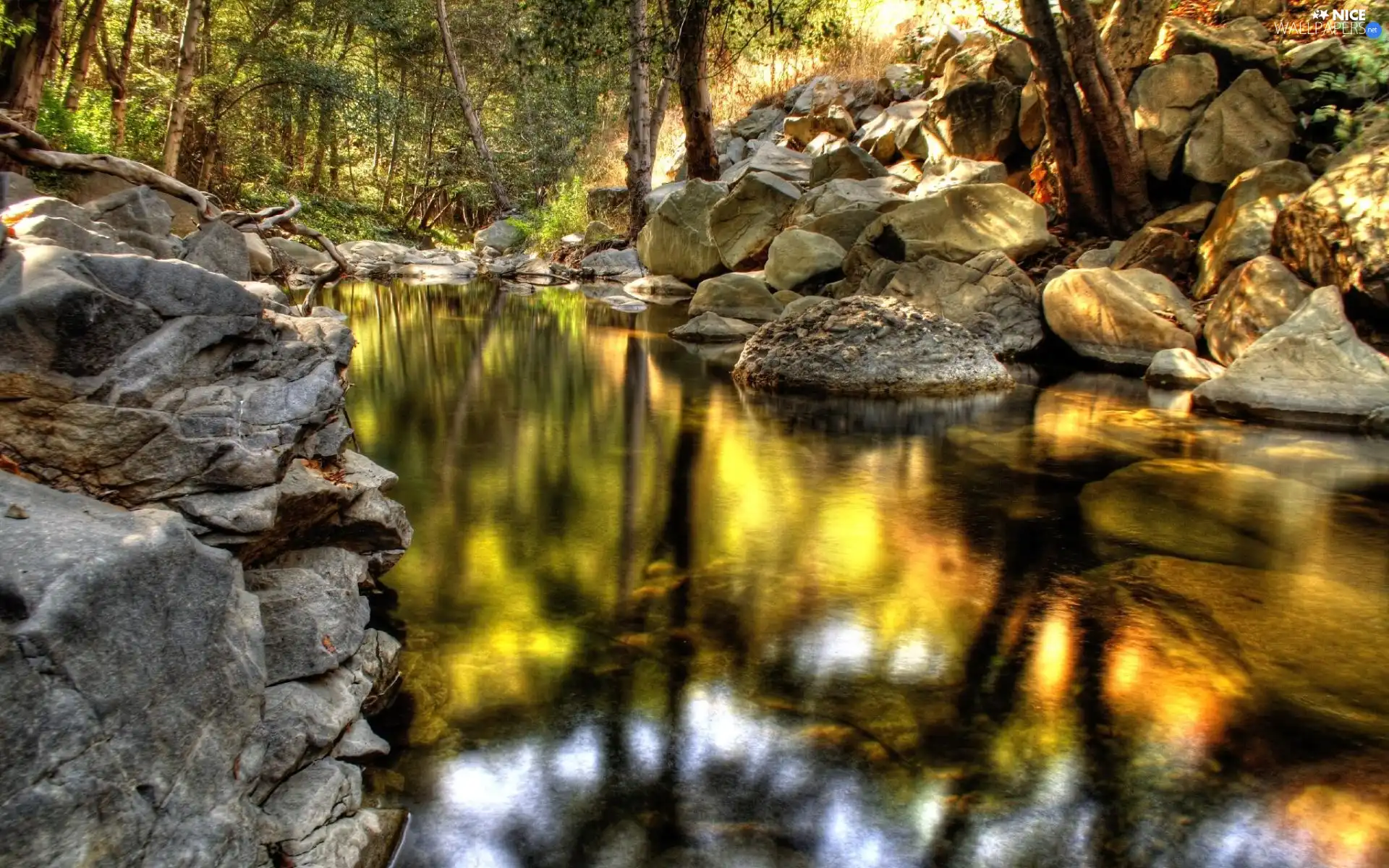 Mirror, reflection, Stones, forest, River