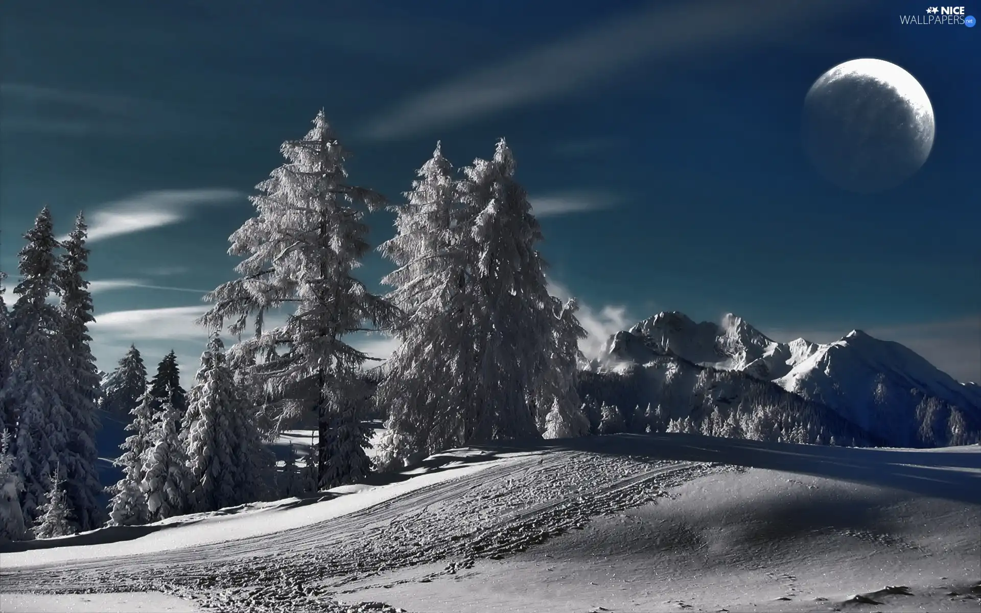 trees, Night, moon, snow, viewes, Mountains