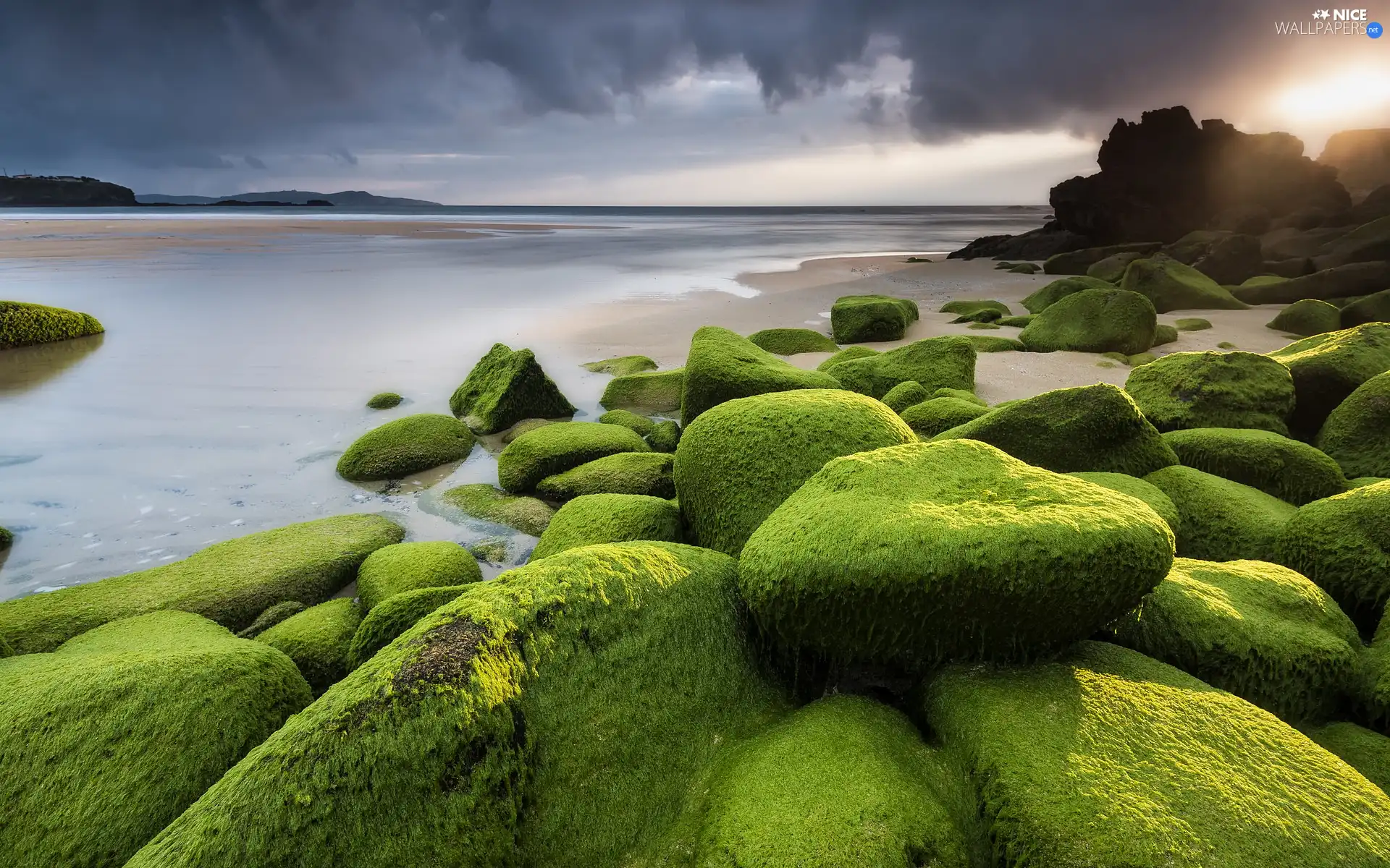 sea, Stones, seaweed, mossy