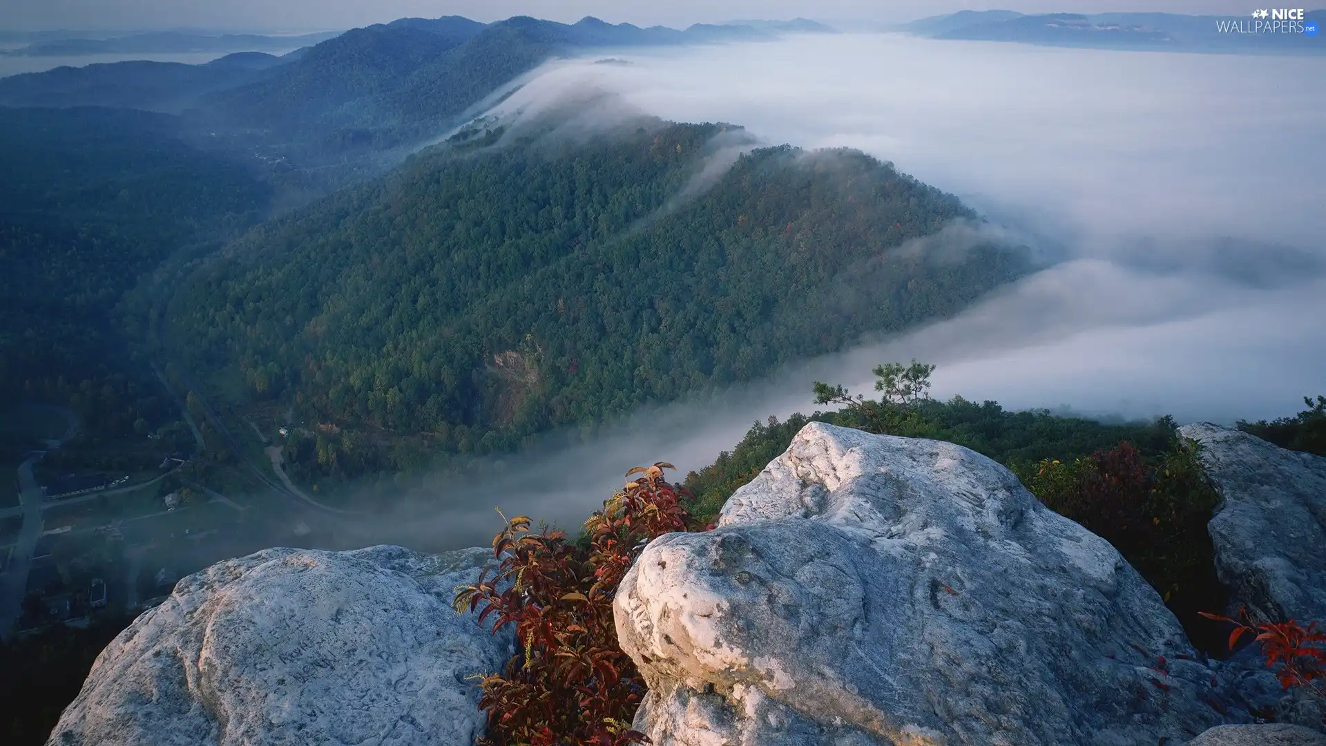Fog, rocks, Mountains, forest