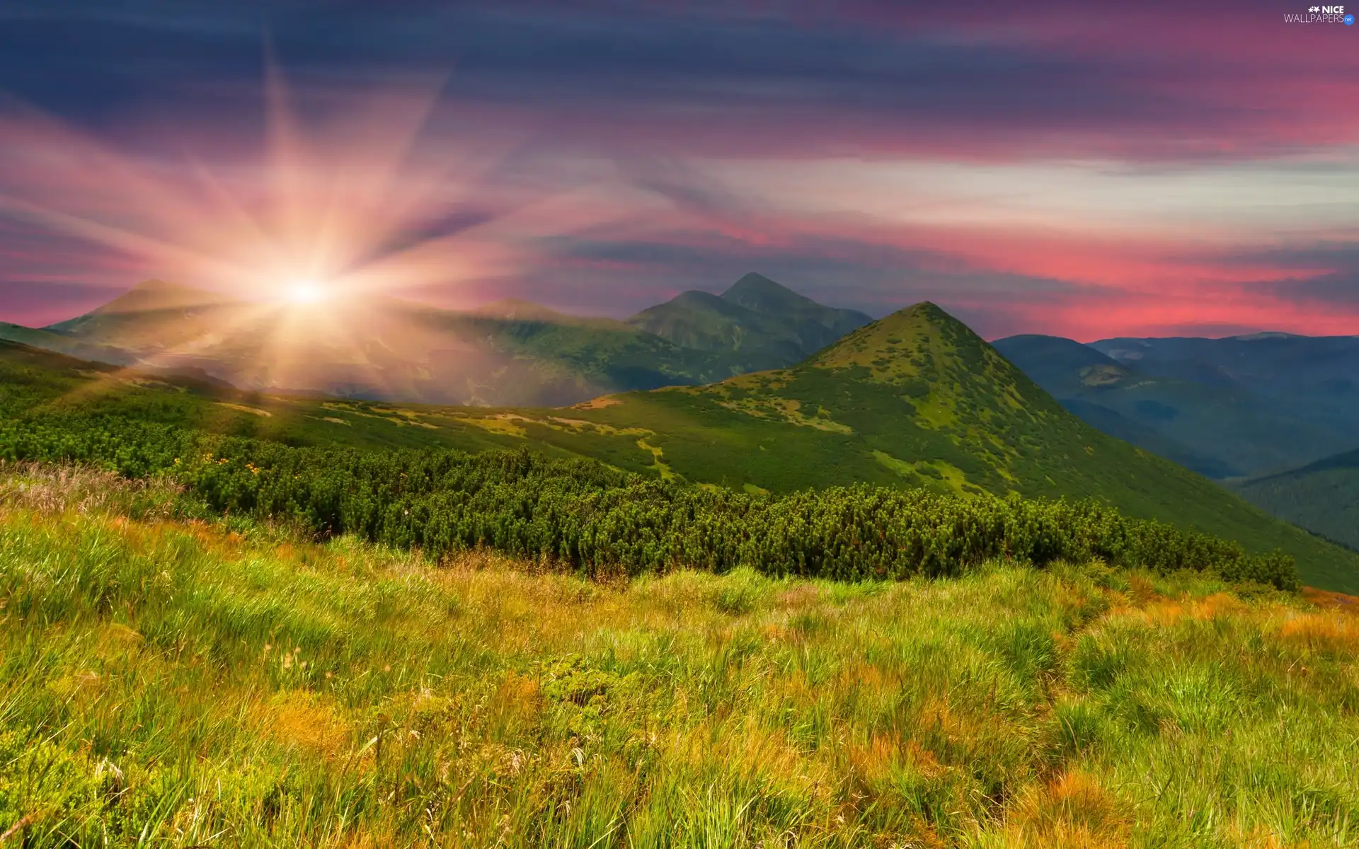 Mountains, Meadow, sun, rays, west