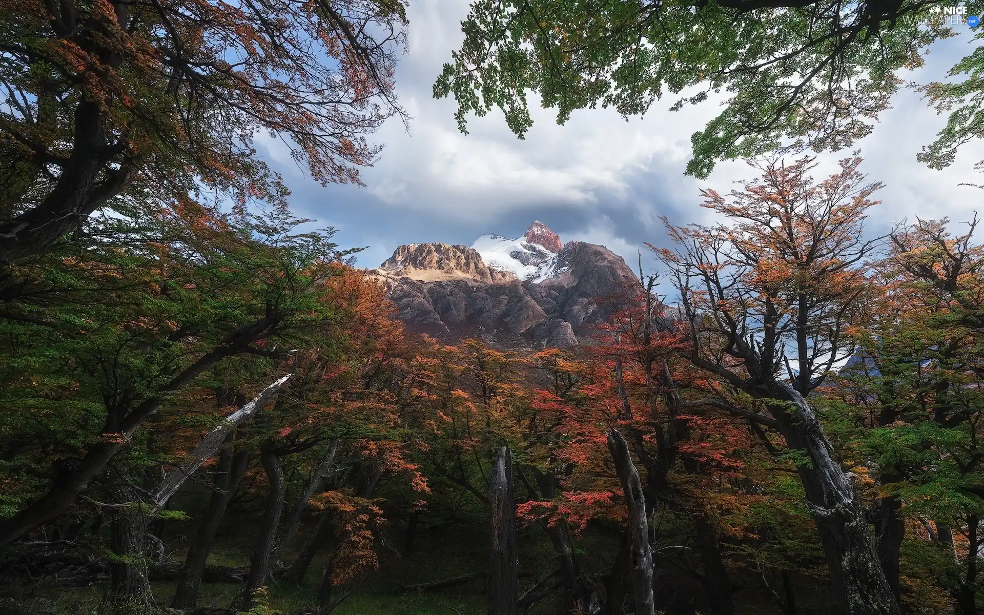 mountains, Fitz Roy, clouds, autumn, viewes, Patagonia, Argentina, trees