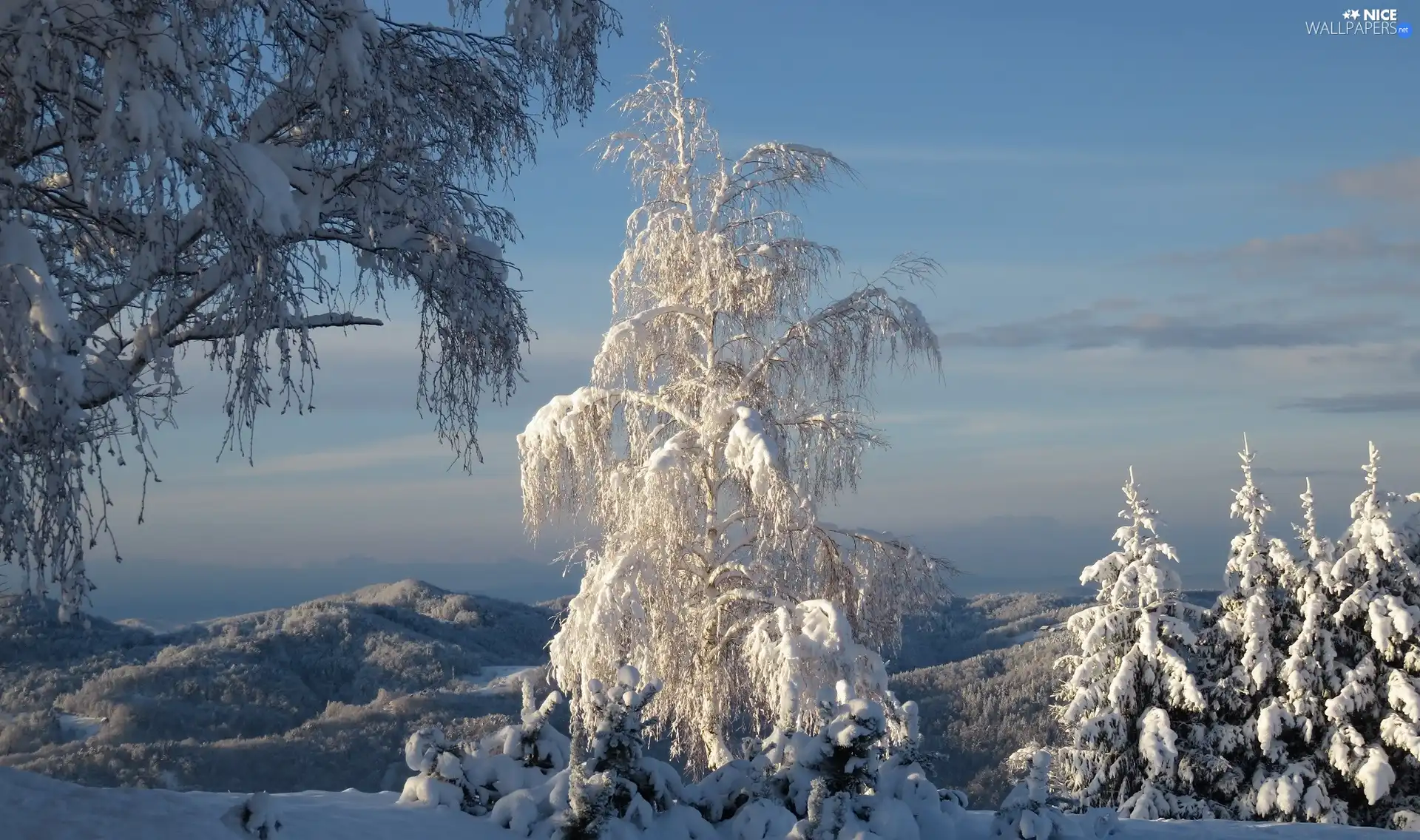 viewes, Mountains, Snowy, trees, winter