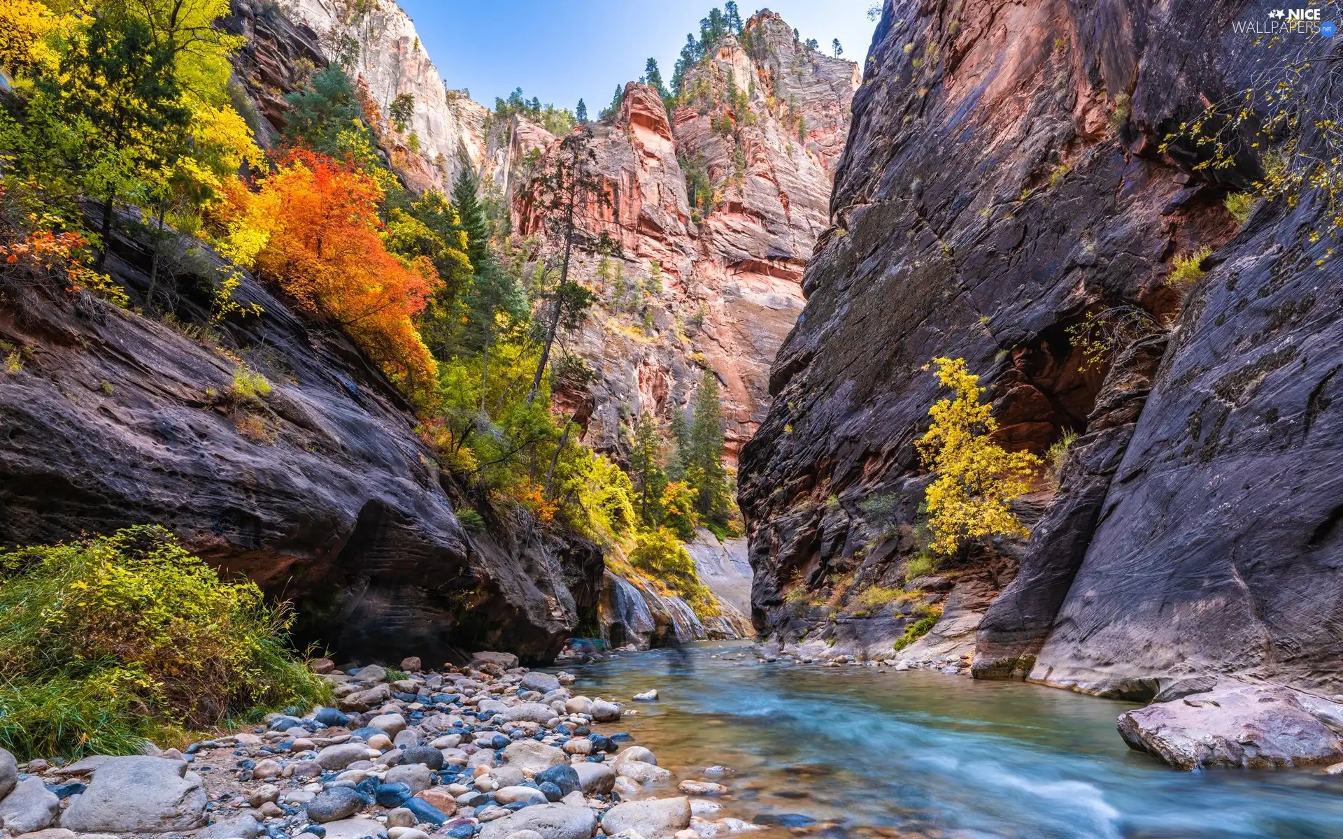 Zion Narrows Canyon, Utah State, VEGETATION, Zion National Park, The United States, rocks, Virgin River