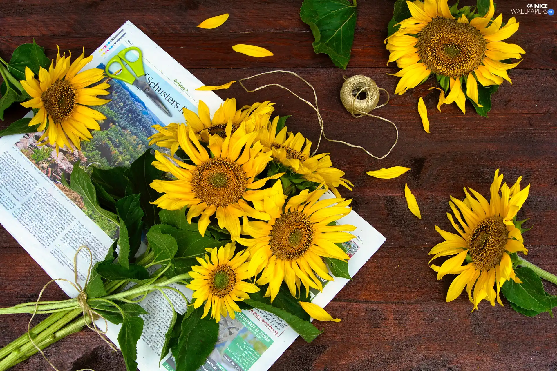 Nice sunflowers, Paper, composition, decoration, scissors, bouquet, Flowers, twine