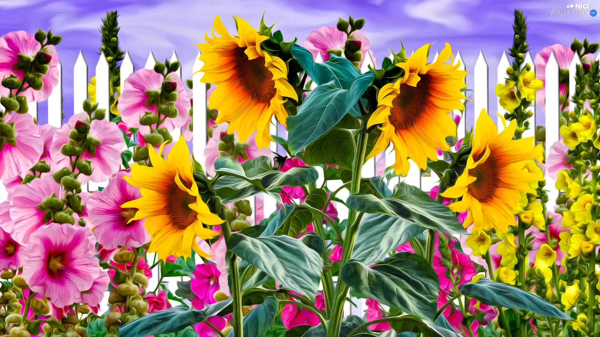 Flowers, Nice sunflowers, graphics, Hollyhocks