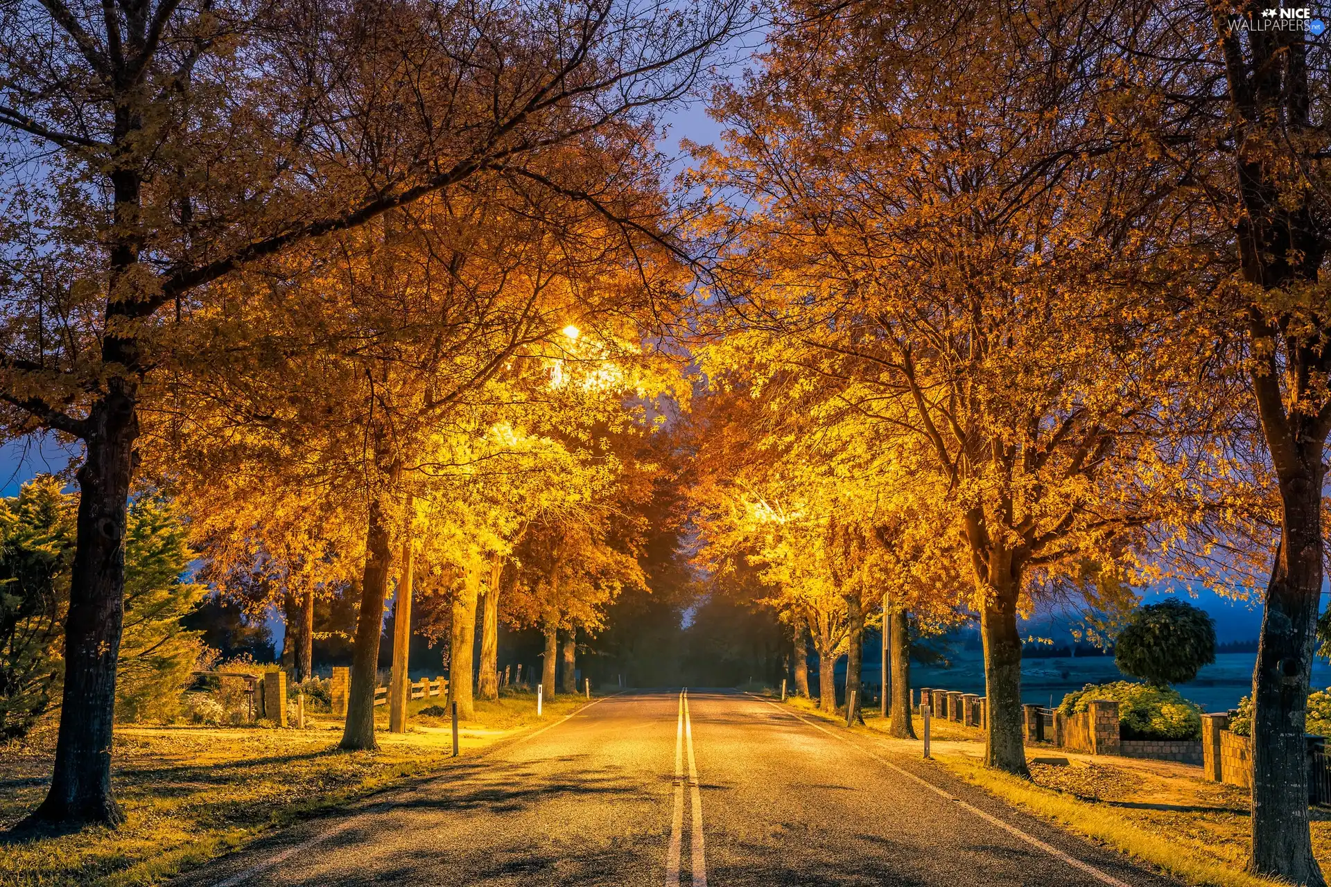 trees, autumn, lanterns, Night, viewes, Way