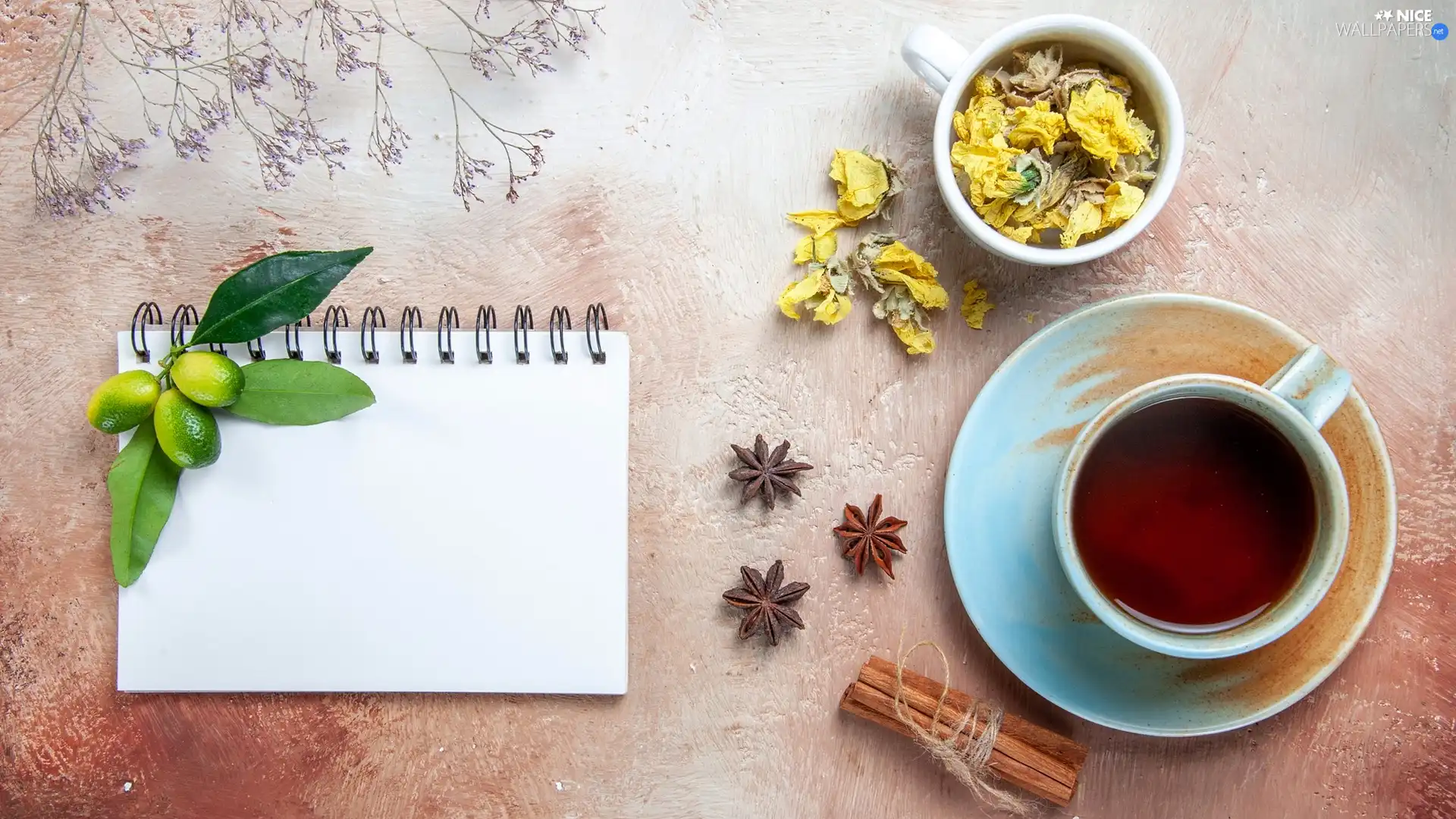 note-book, cinnamon, composition, anise, Flowers, cup, tea, dry