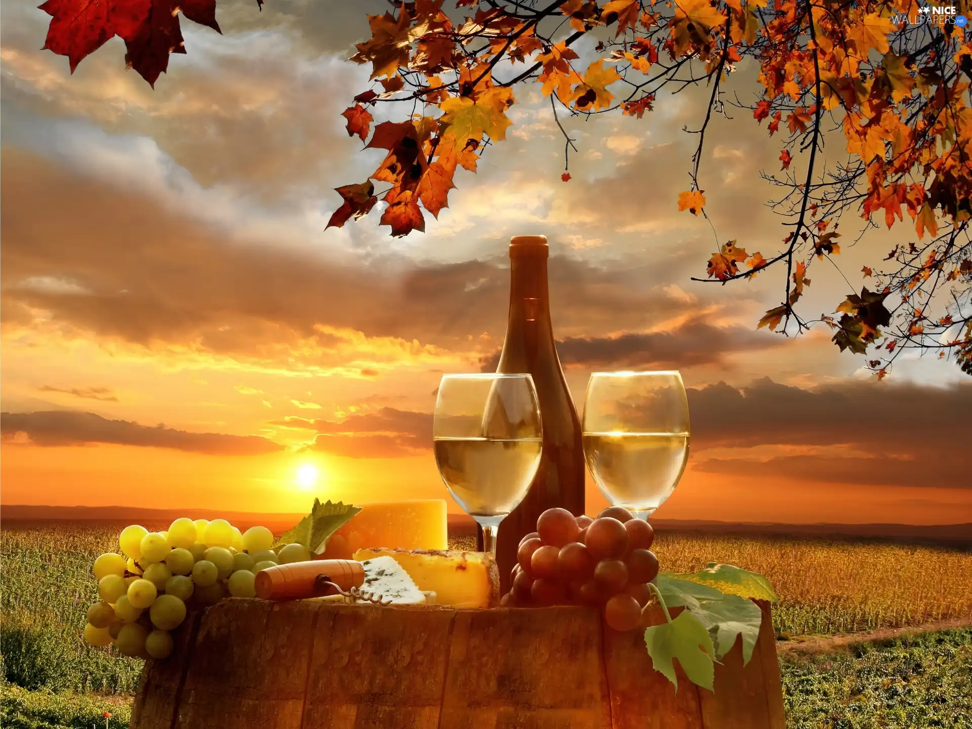 barrel, oak, autumn, field, sun, Wine, Grape, west