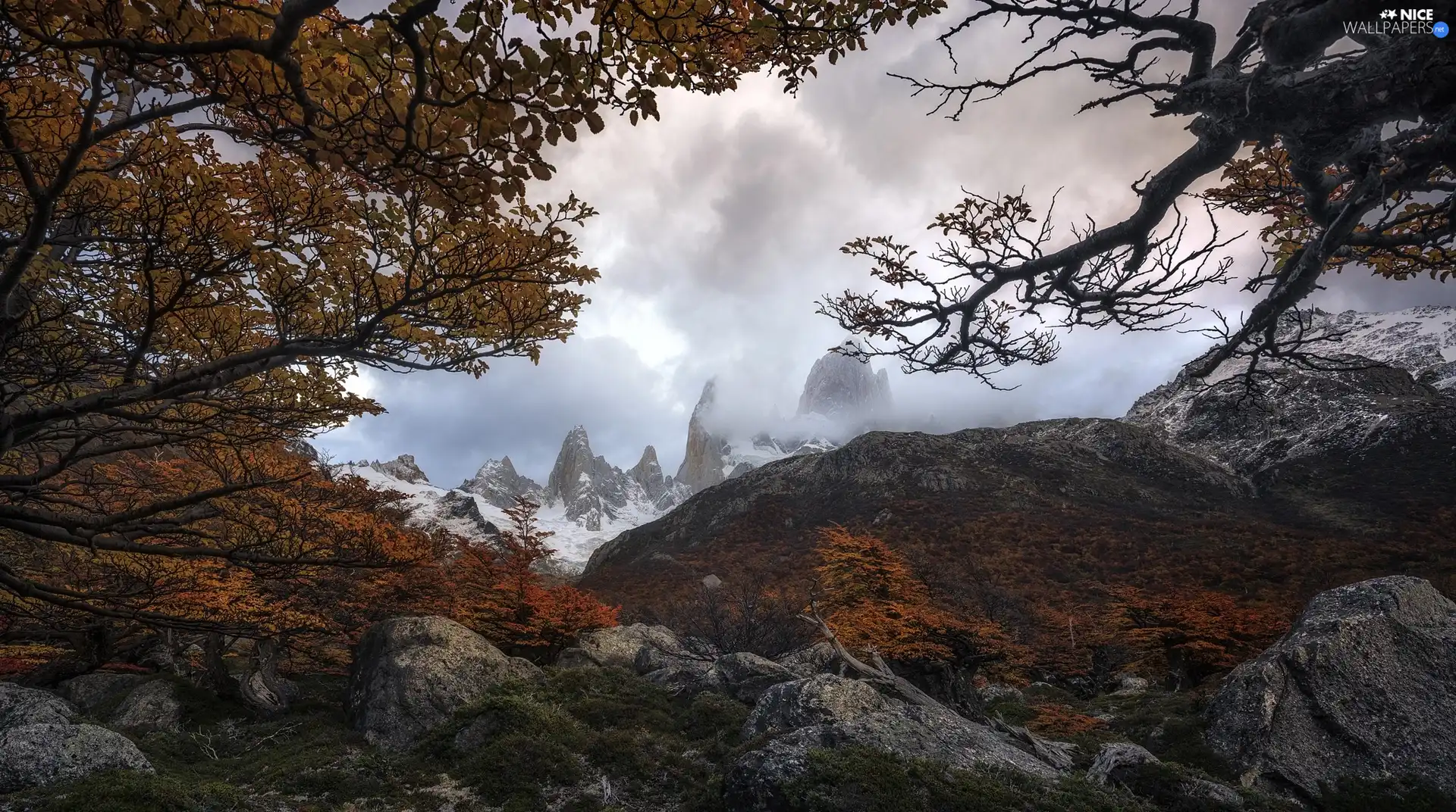 Andes Mountains, autumn, Los Glaciares National Park, trees, Patagonia, Argentina, branch pics, Stones, viewes