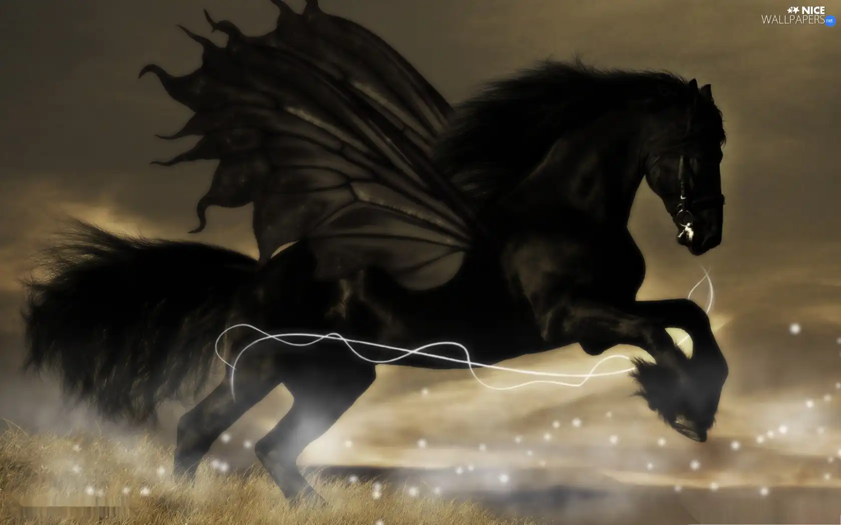 Black, Pegasus