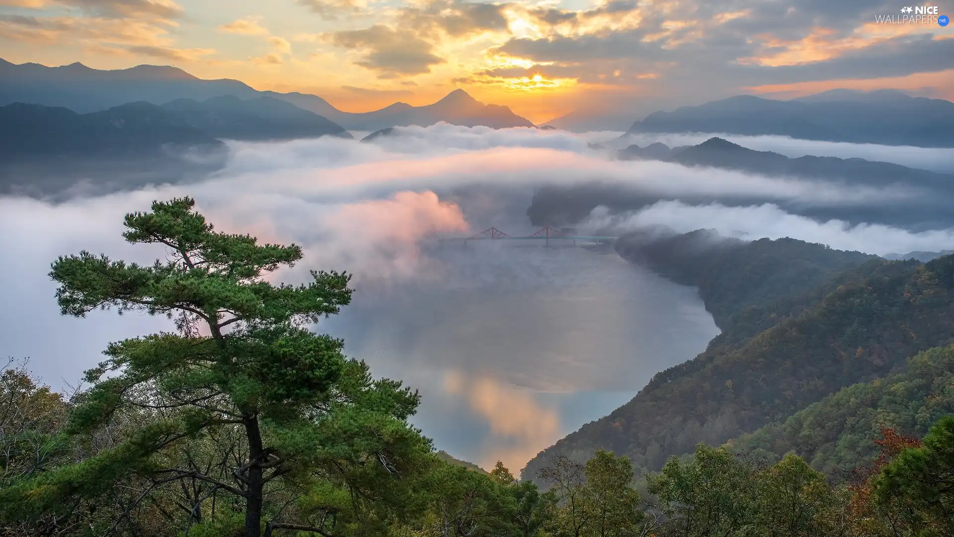 River, Mountains, bridge, Fog, rays of the Sun, Korea, pine, clouds, trees