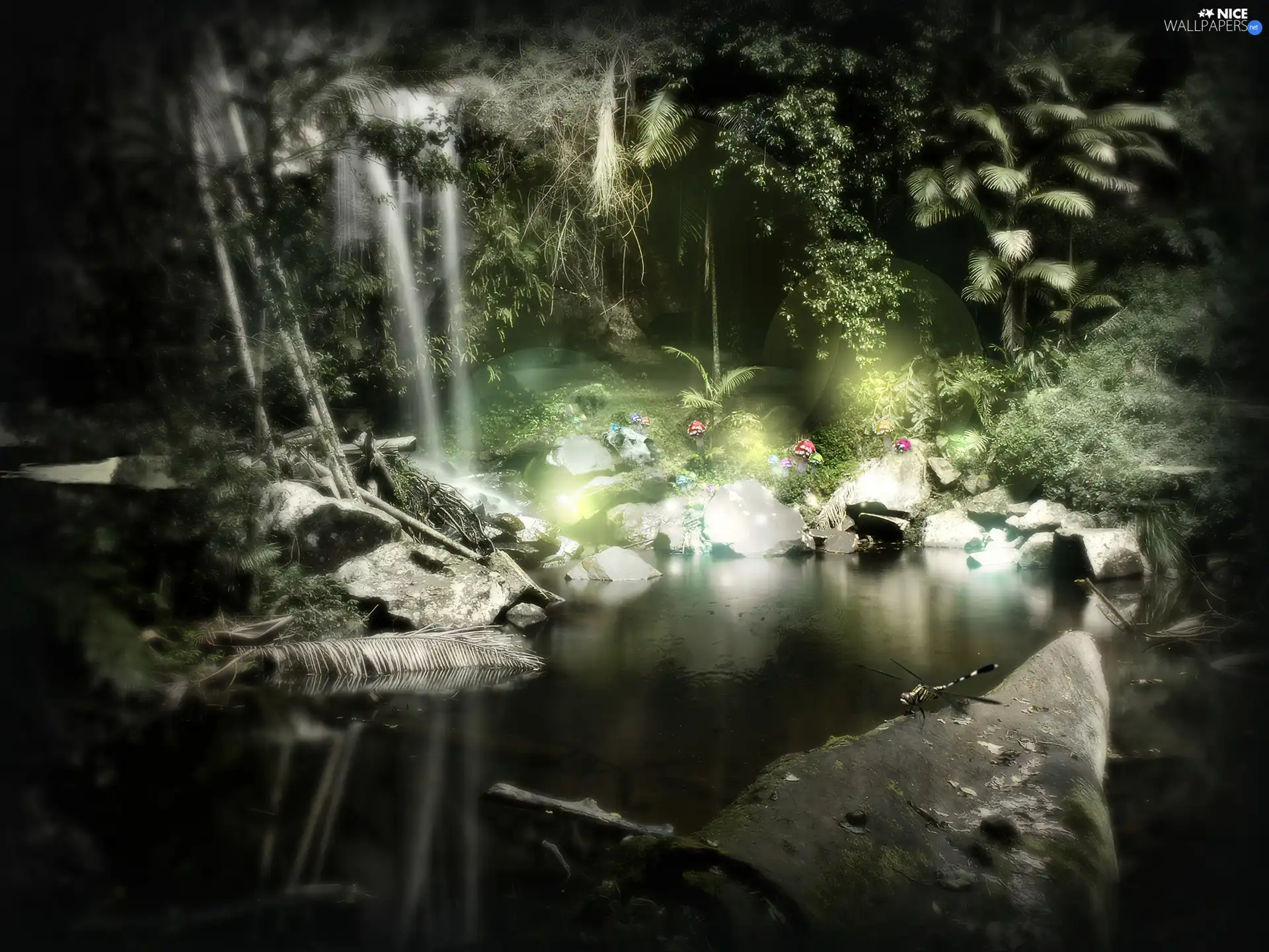 pond, magic, forest