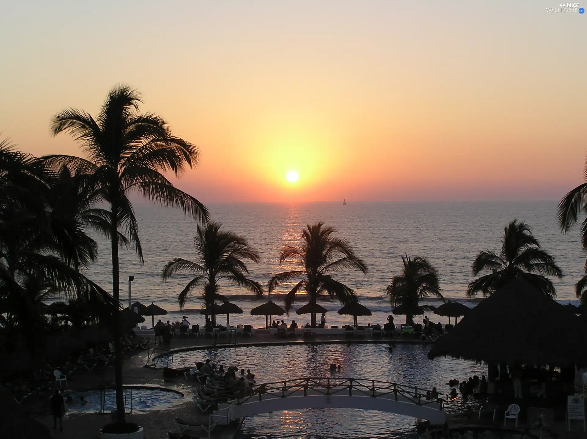 Palms, Great Sunsets, Pools