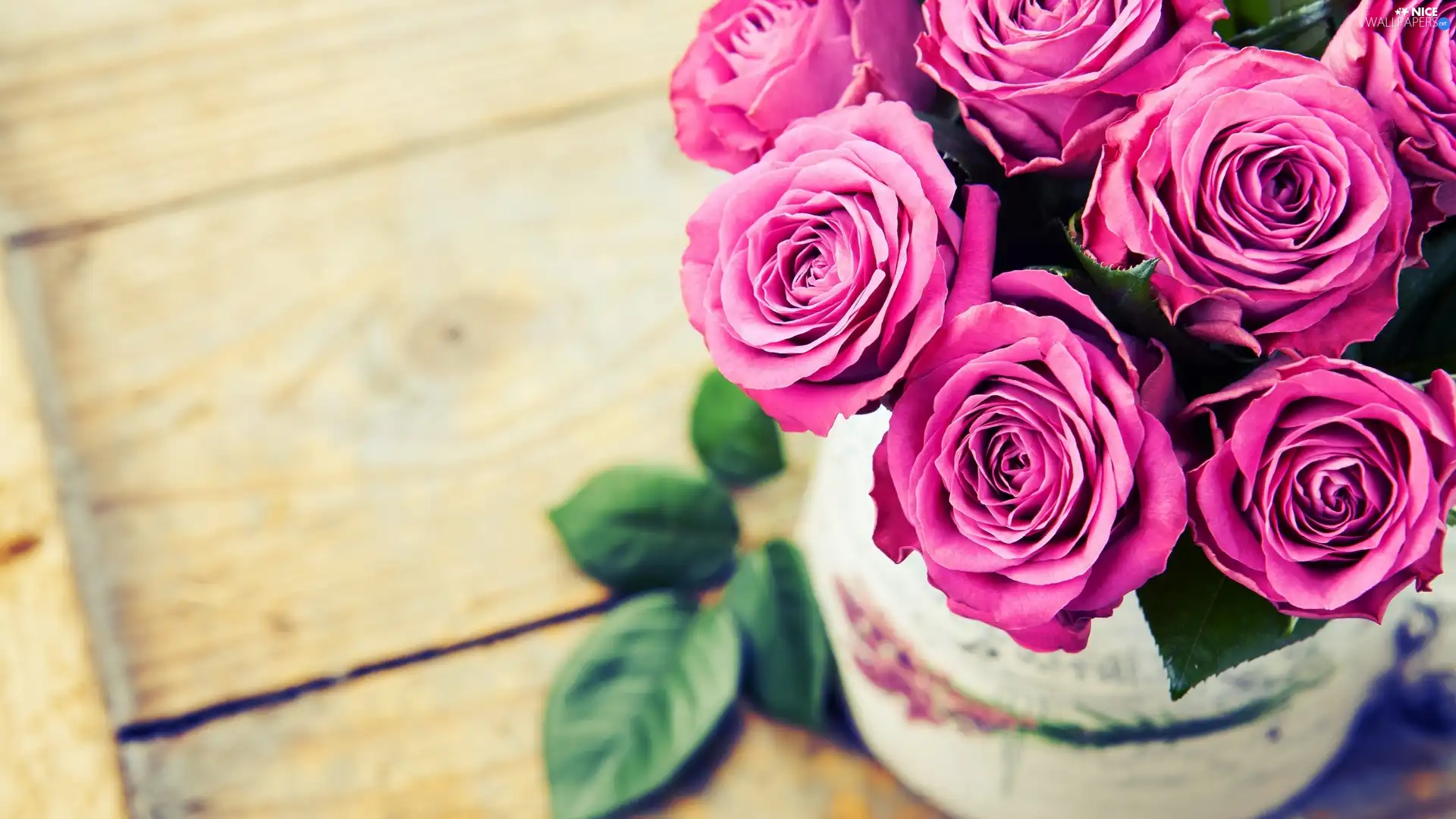 pot, Flowers, roses
