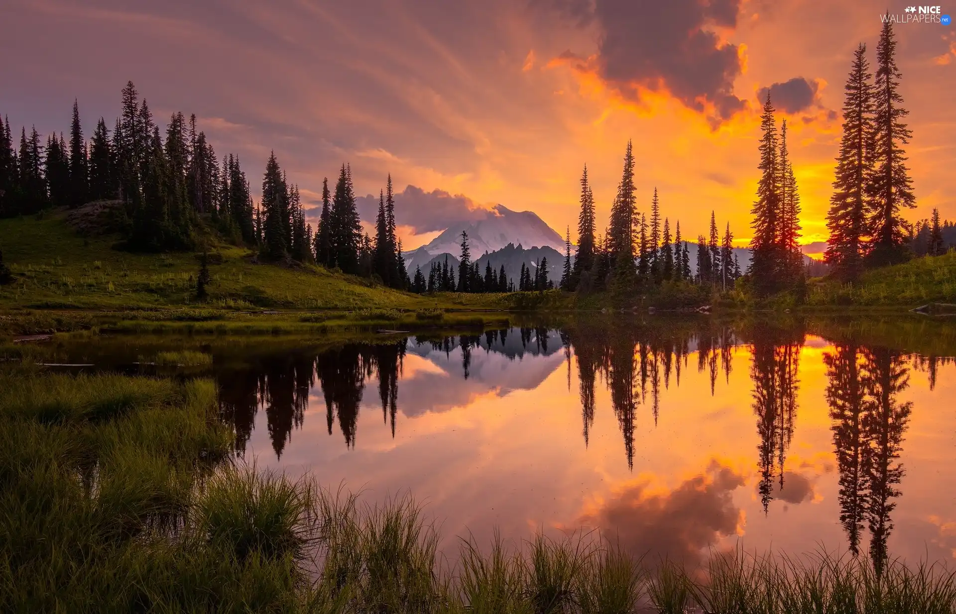 Lake Tipsoo, Mount Rainier National Park, trees, viewes, Washington State, The United States, Mountains, Stratovolcano Mount Rainier, Great Sunsets