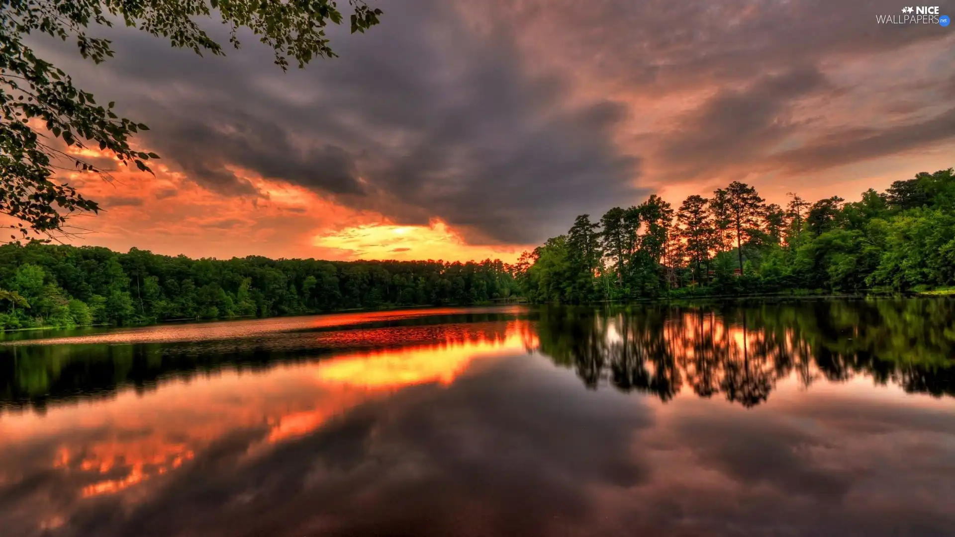 forest, clouds, reflection, lake
