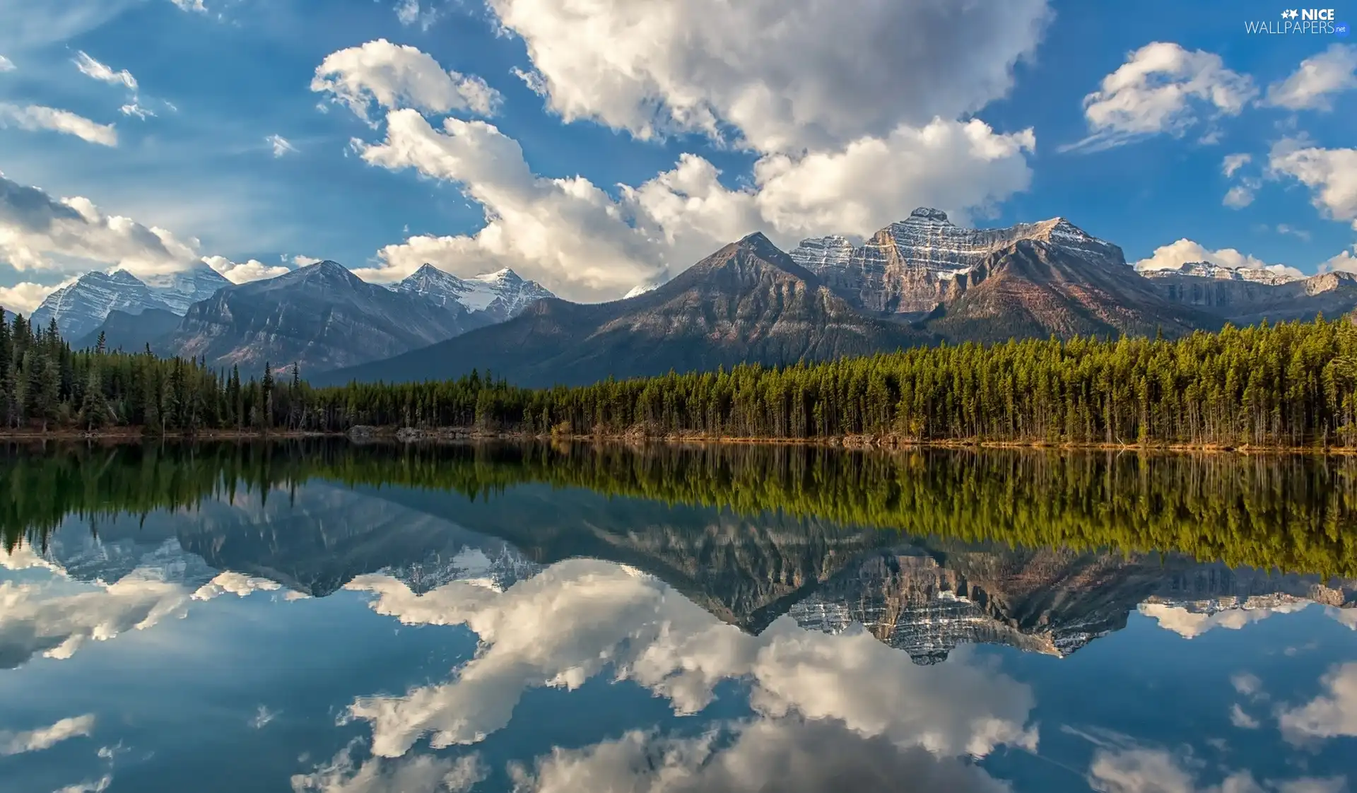 clouds, reflection, Mountains, Spruces, lake
