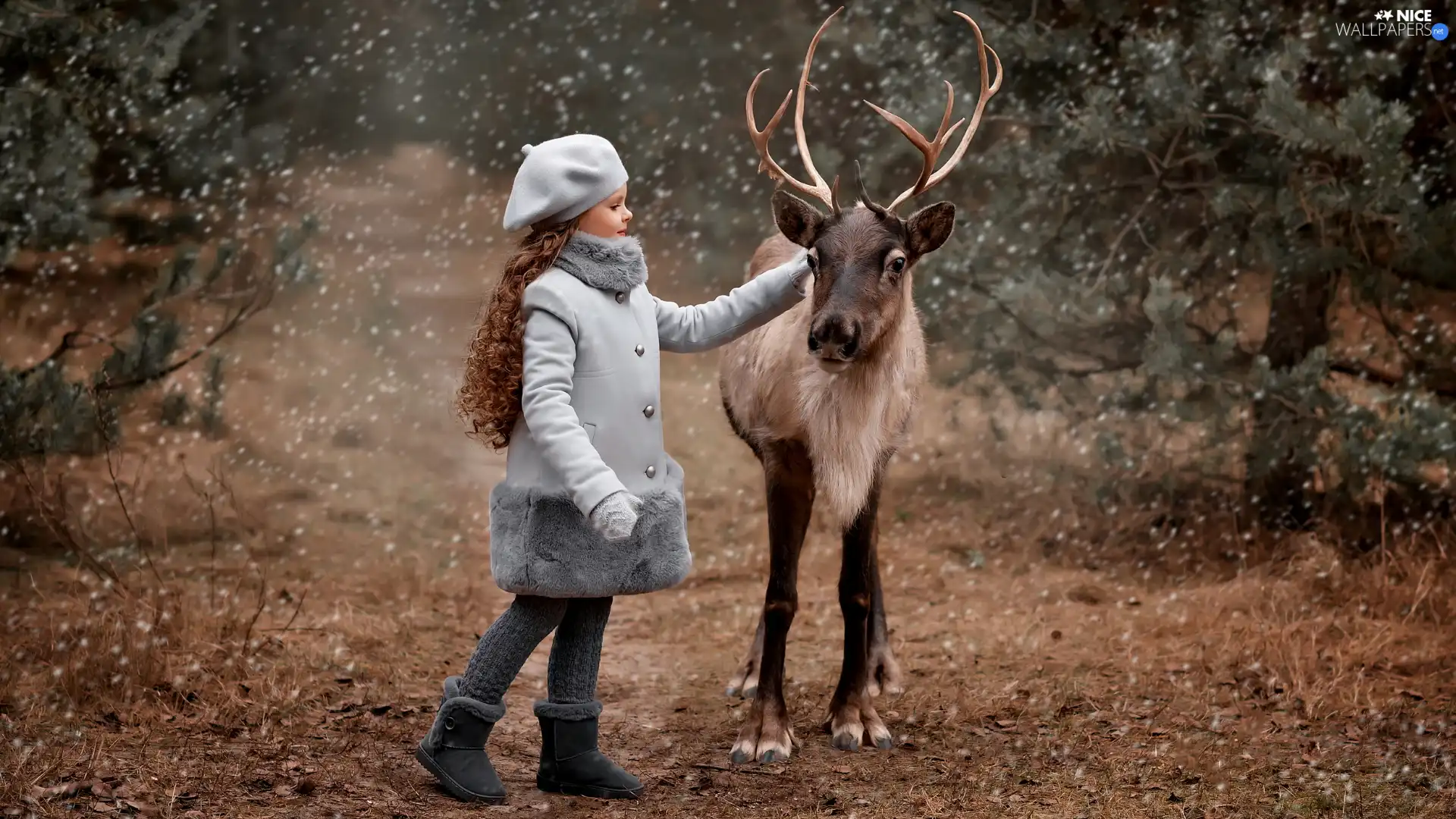 beret, reindeer, Gray, coat, girl