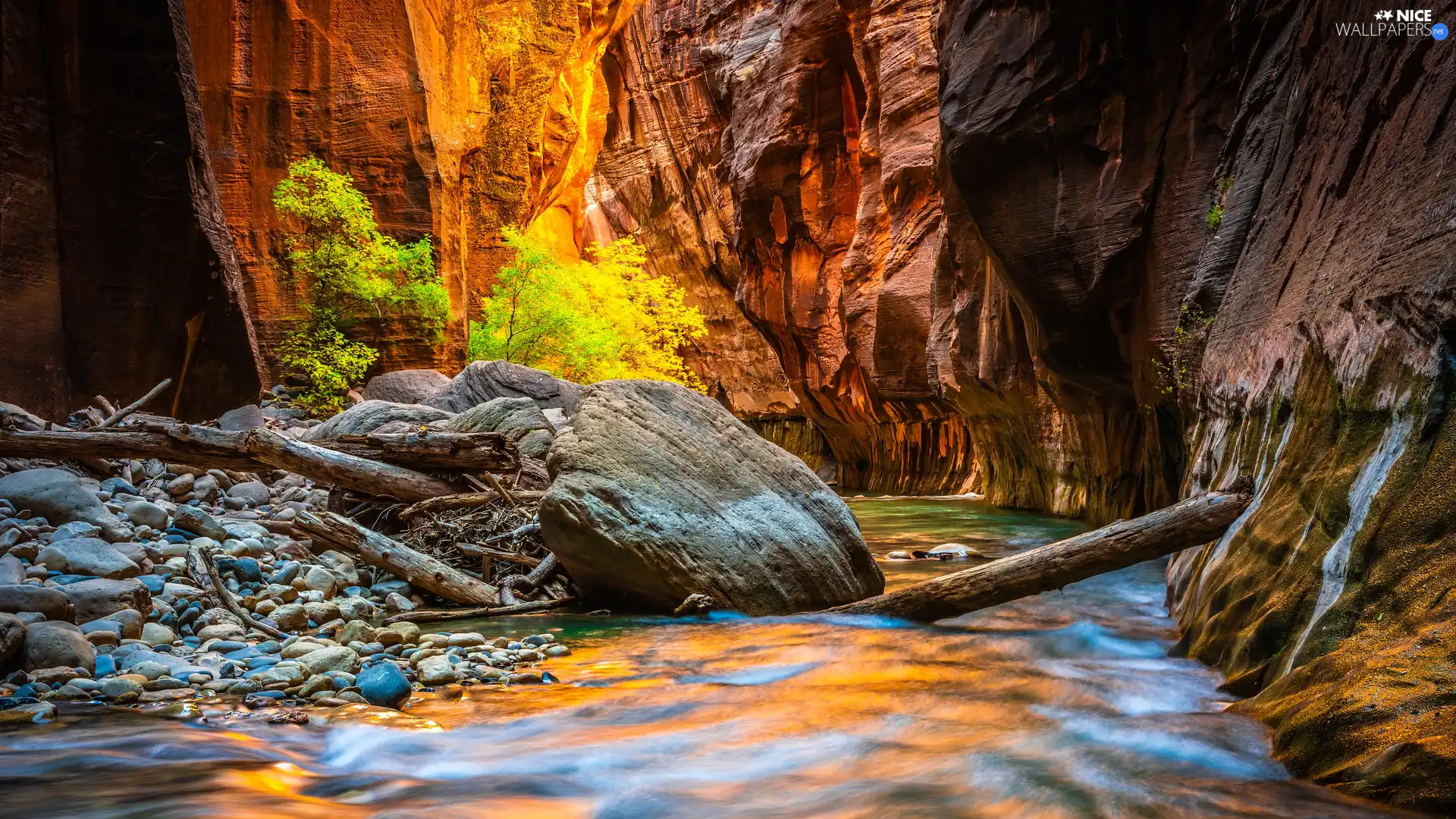 Zion Narrows Canyon, Zion National Park, rocks, Stones, Utah State, The United States, trees, viewes, Virgin River