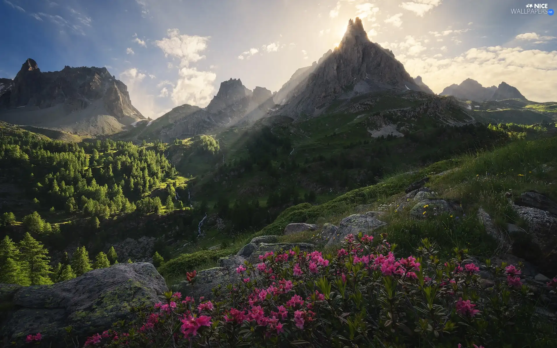 rocks, Mountains, trees, viewes, Flowers, light breaking through sky