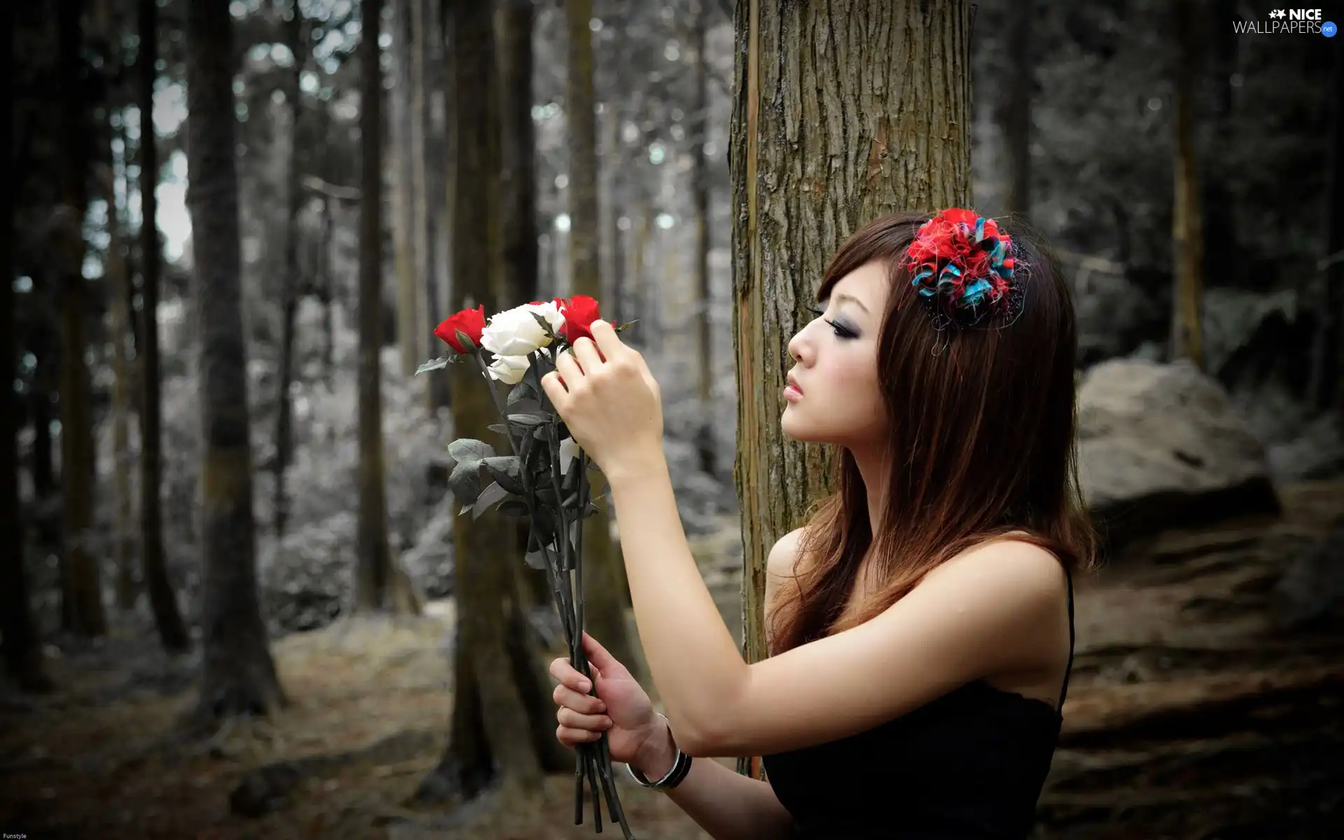 roses, forest, Women