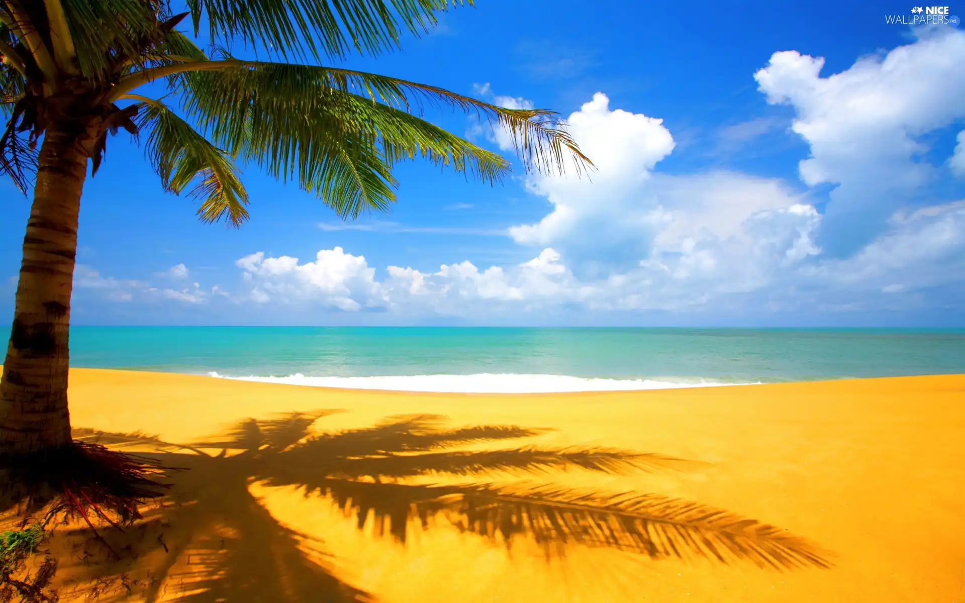 Sand, Palm, Beaches