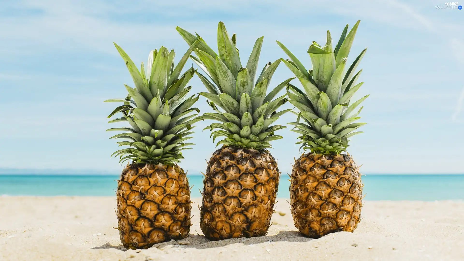 Sand, Three, Pineapples